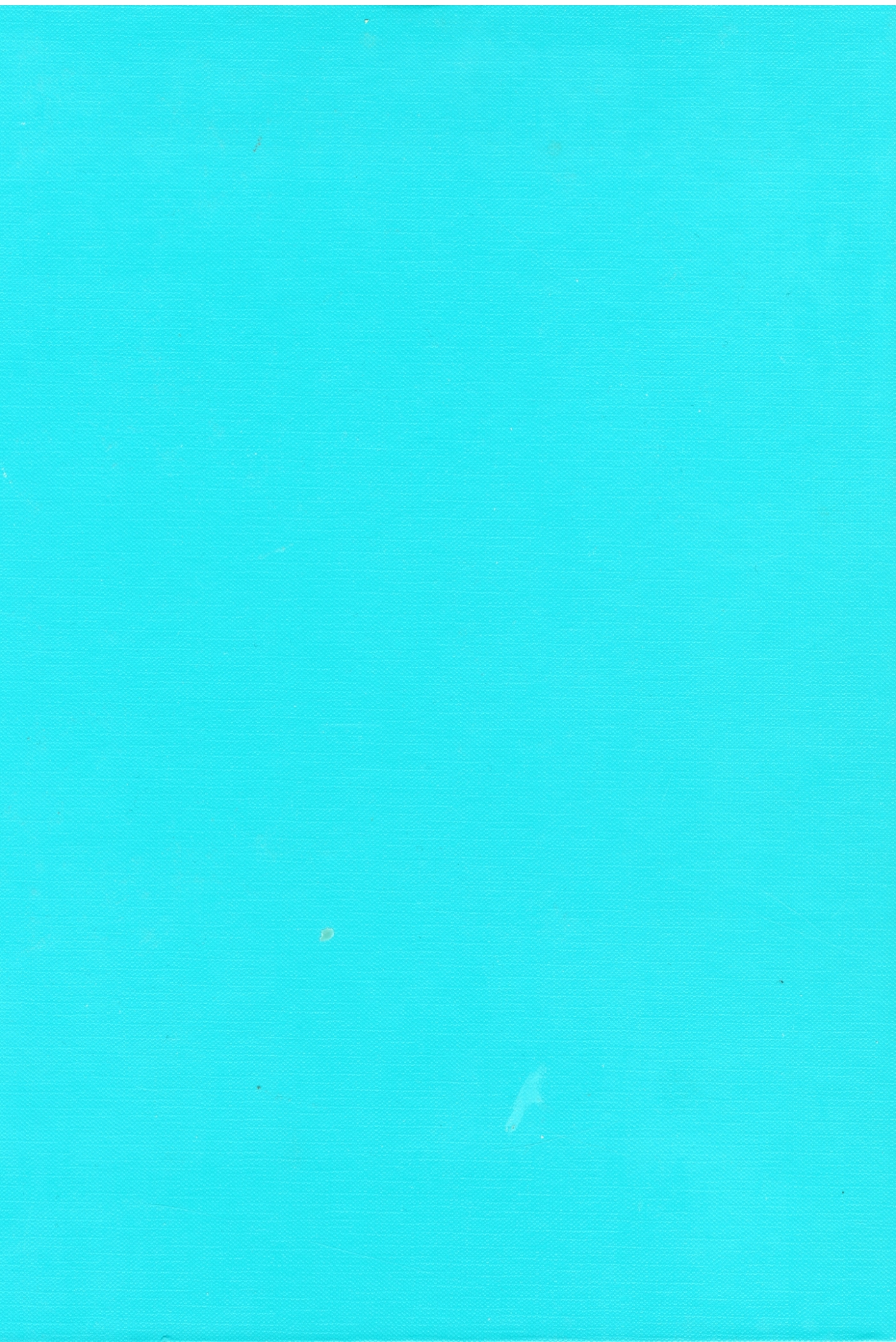 19_copertina_posteriore