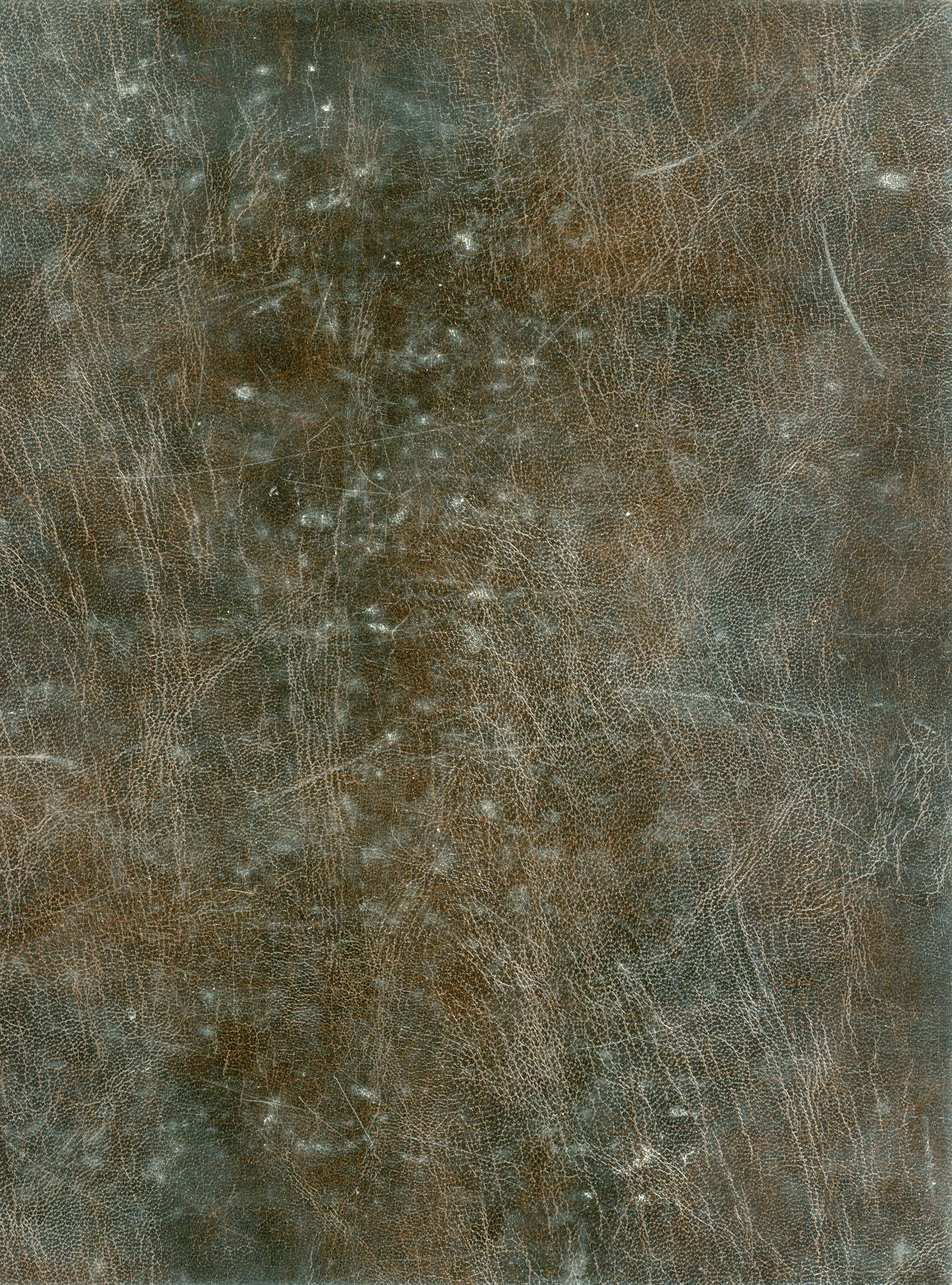 42_copertina_posteriore