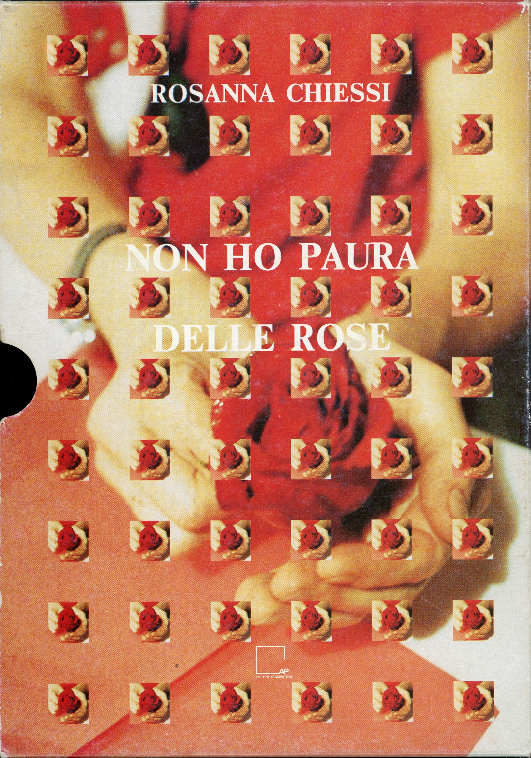 sovracoperta_posteriore