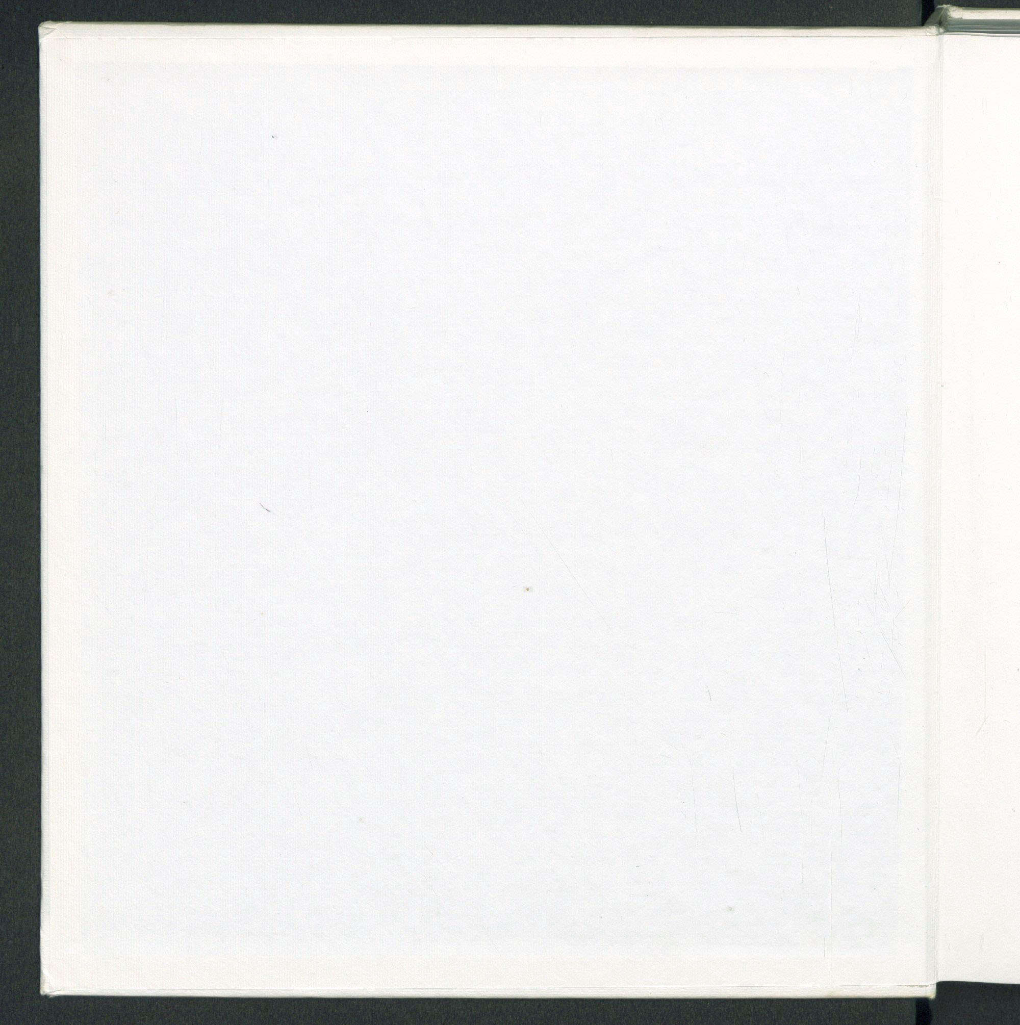 Controguardia anteriore