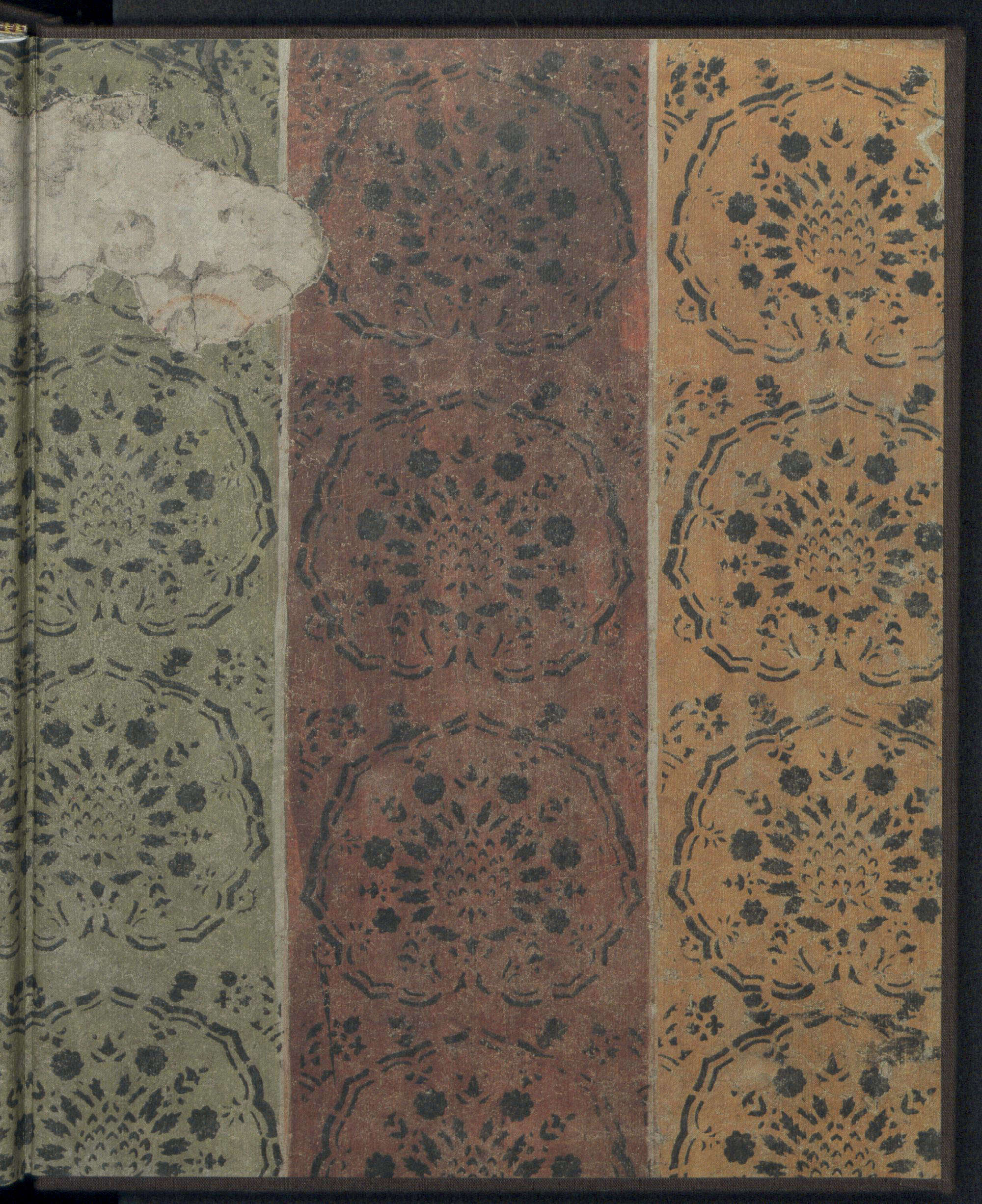 Controguardia posteriore