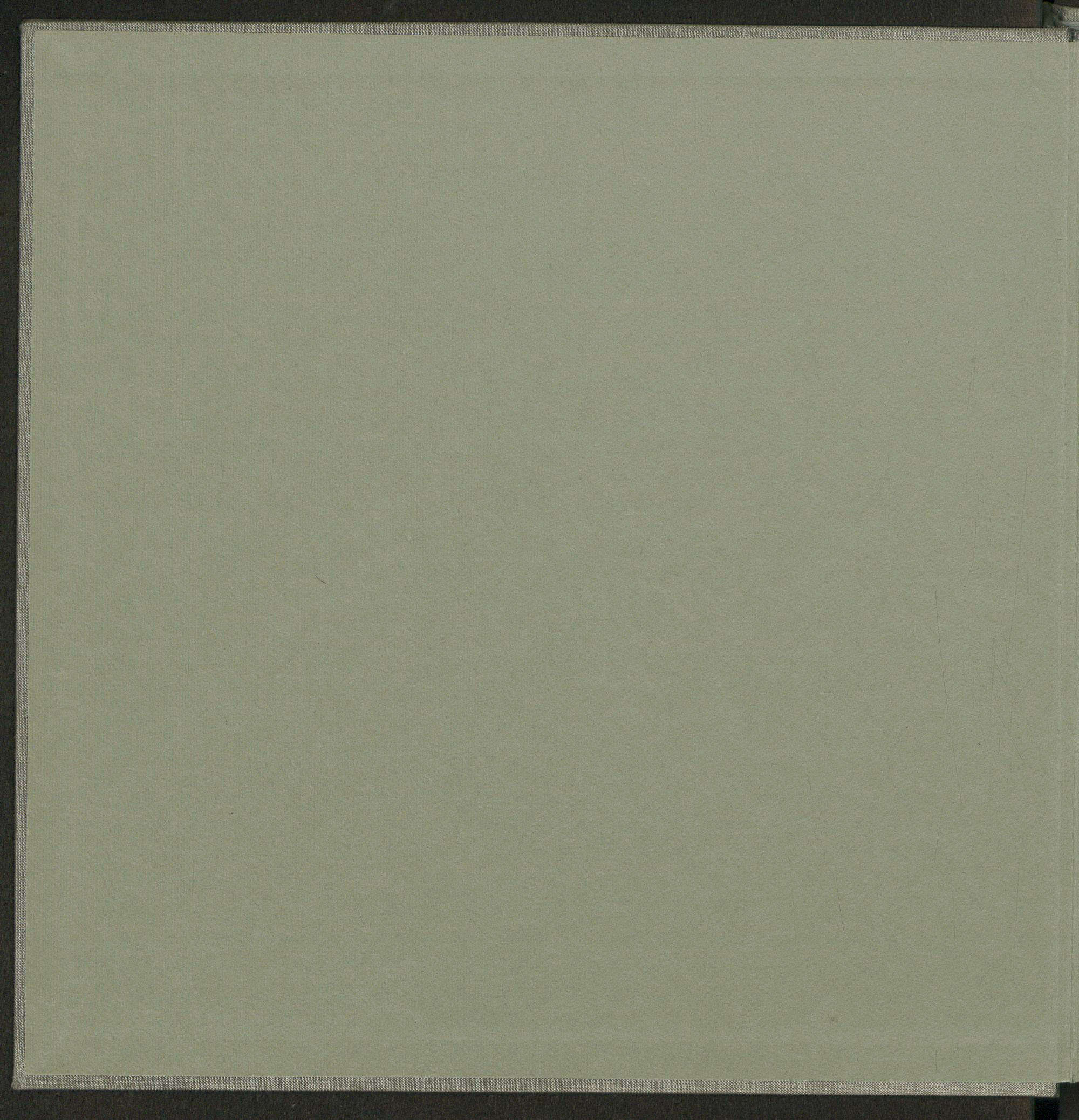 Controguardia anteriore