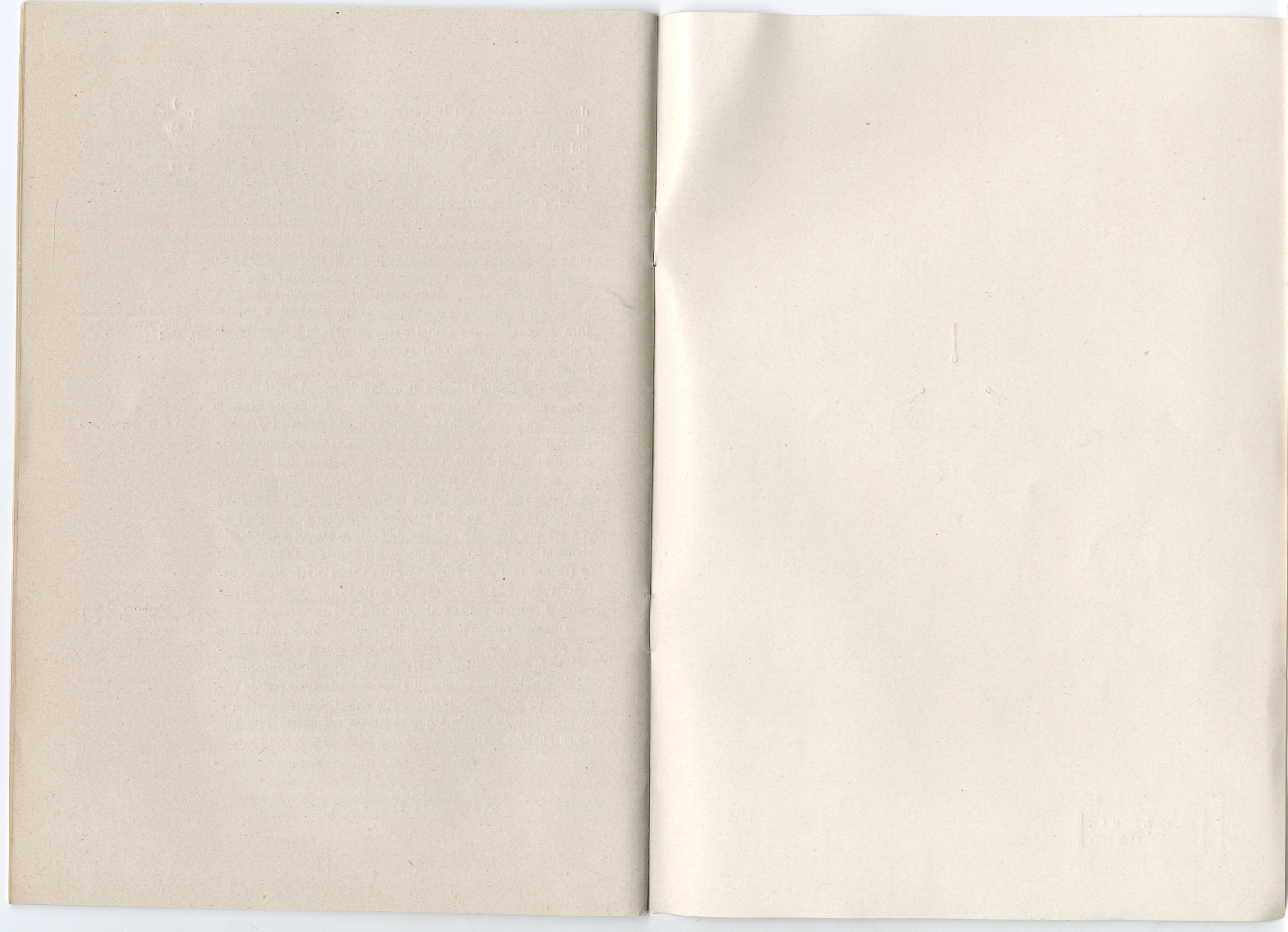 Misc-Regg-117-12:016_MISC REGG 117_12.jpg