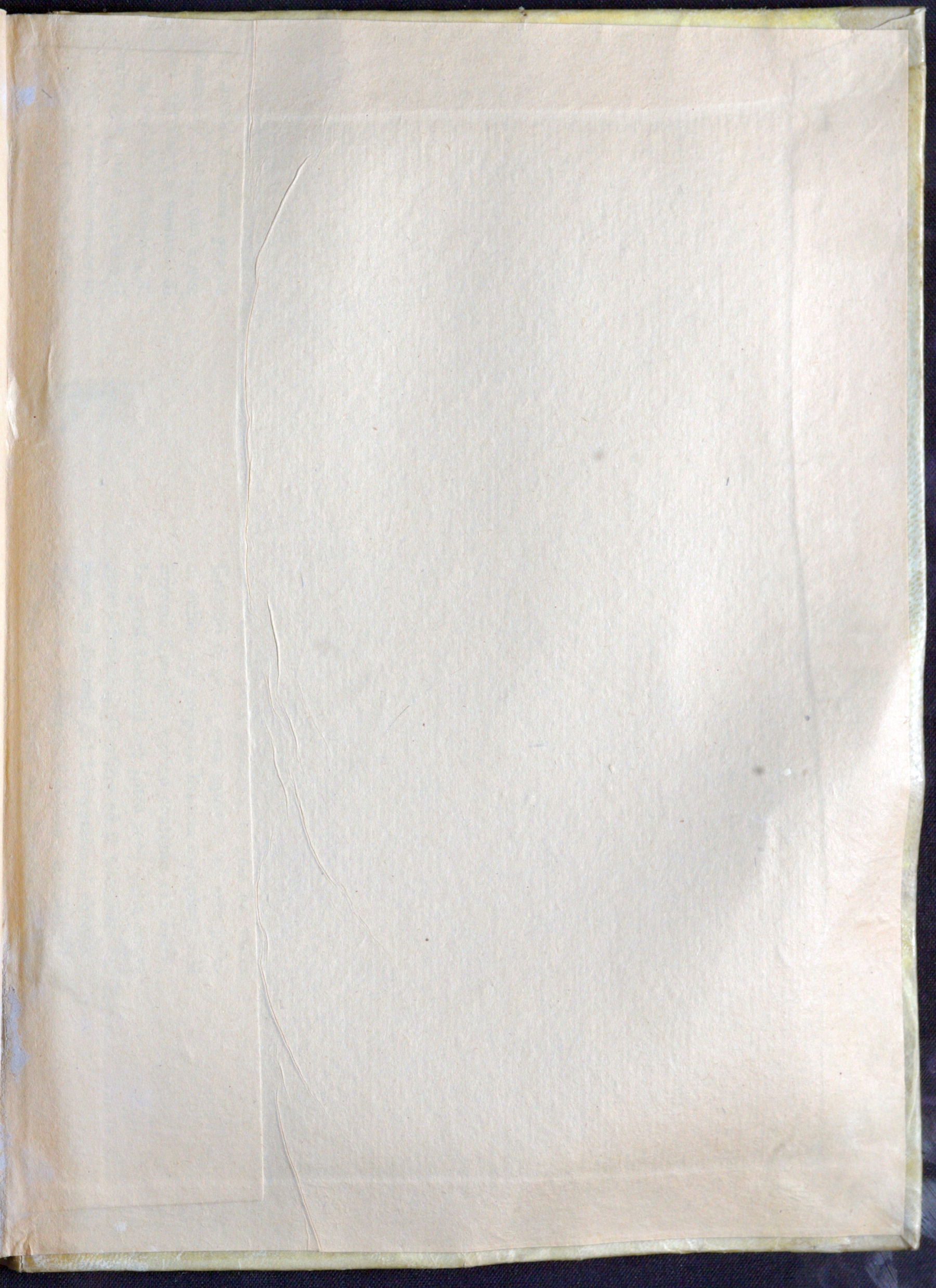 Contropiatto_Posteriore