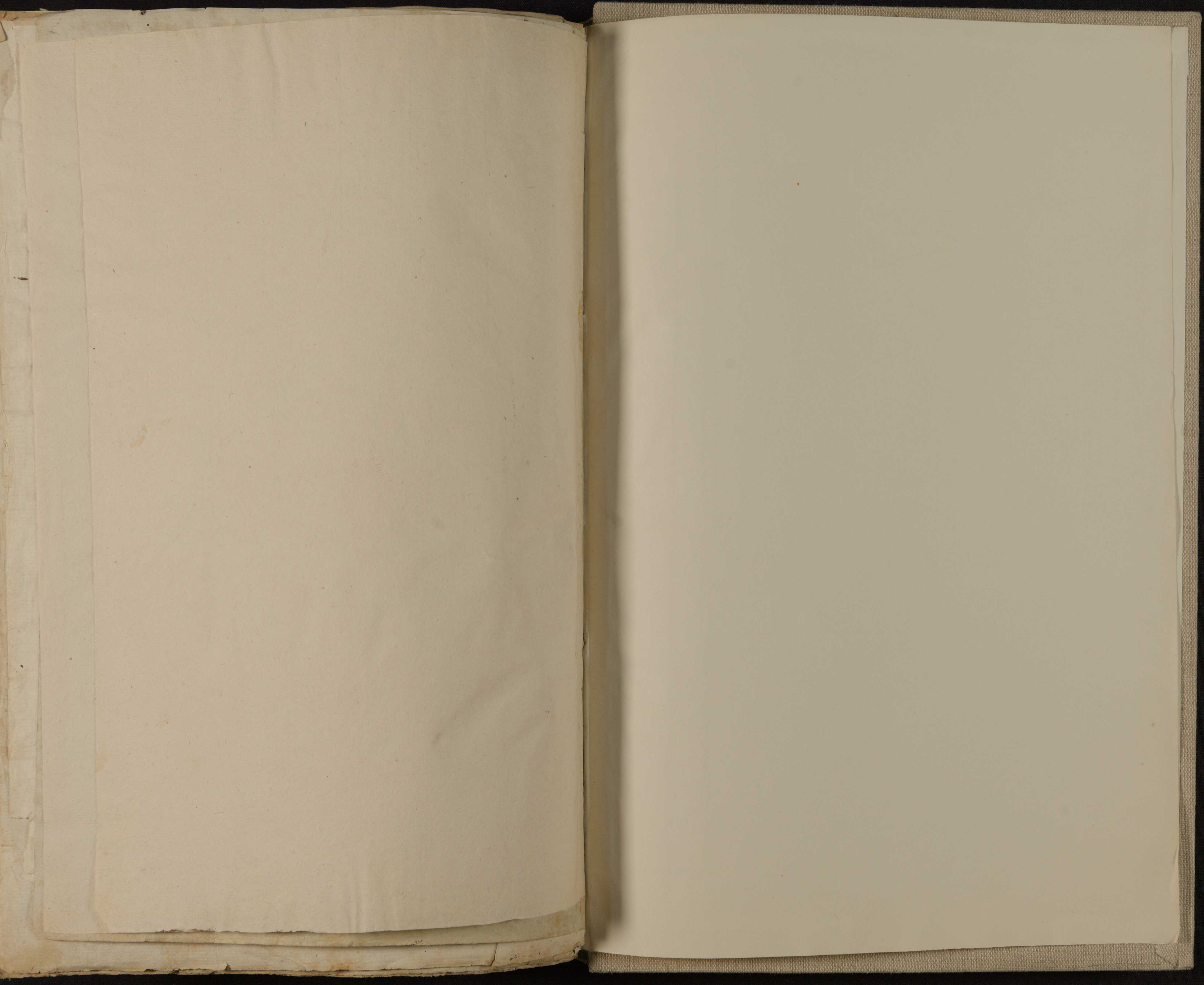 CartaguardiaPosteriore