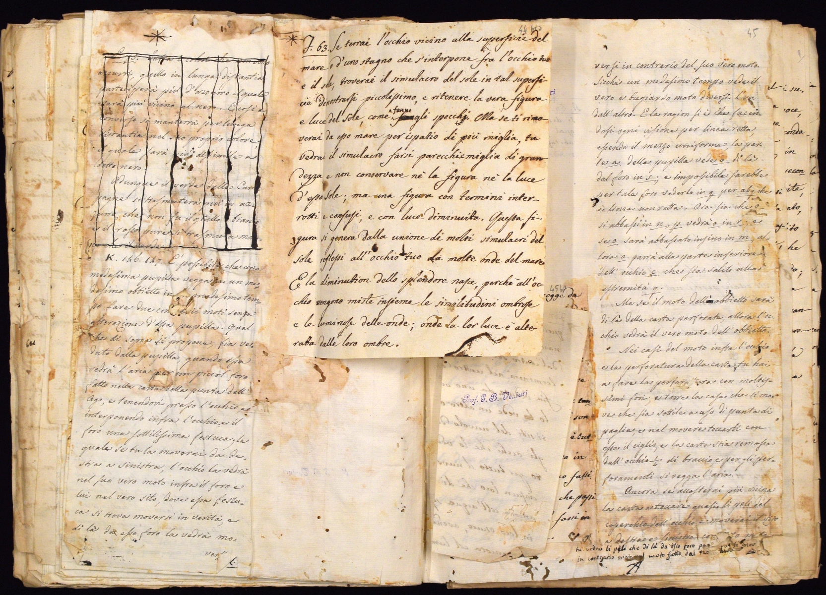 c44v_c44bis r_c45bis v