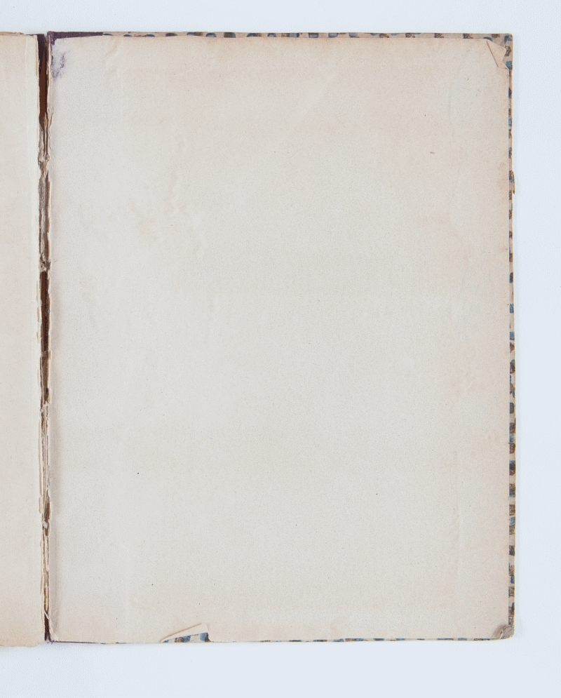 contropiatto posteriore