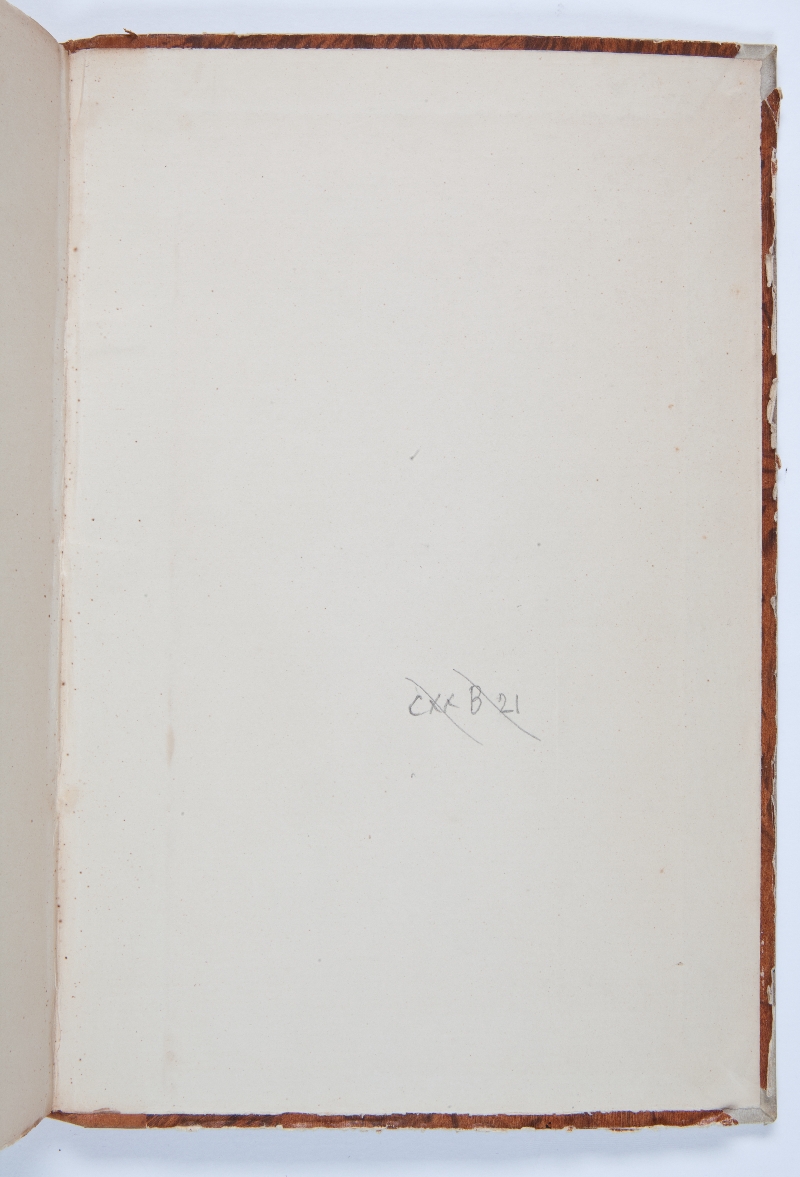 contopiatto_posteriore