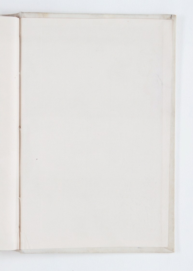 contropiatto posteriore