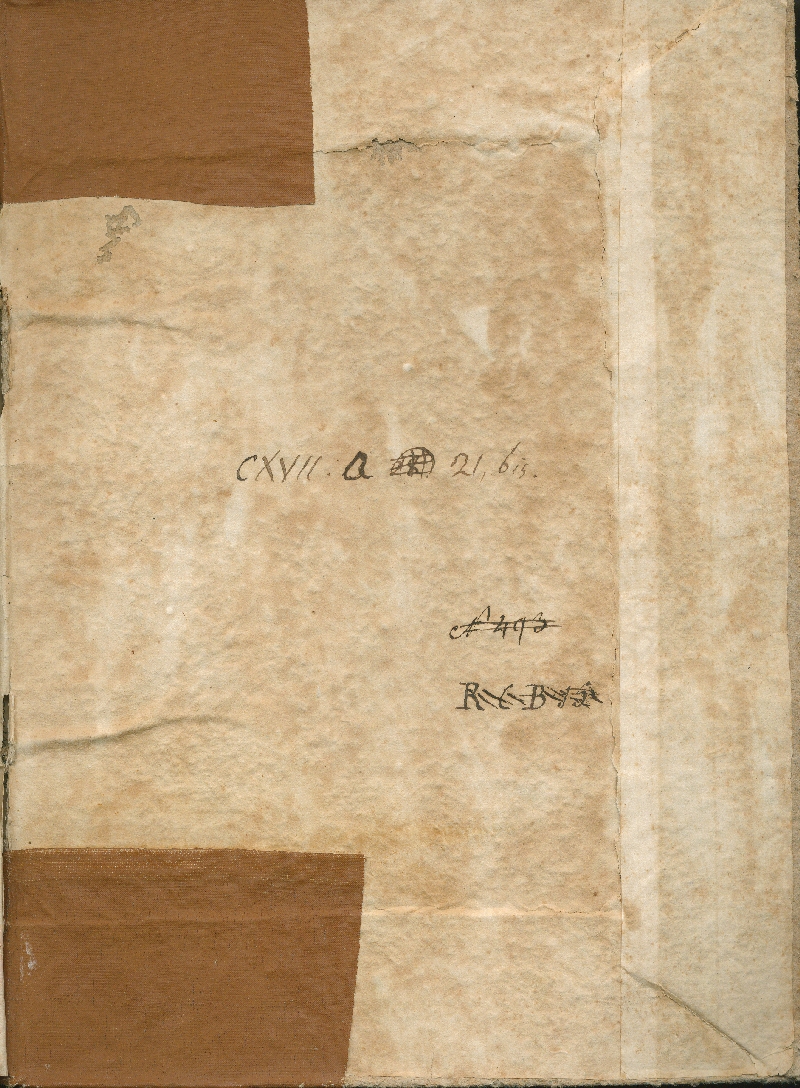 contropiatto_posteriore