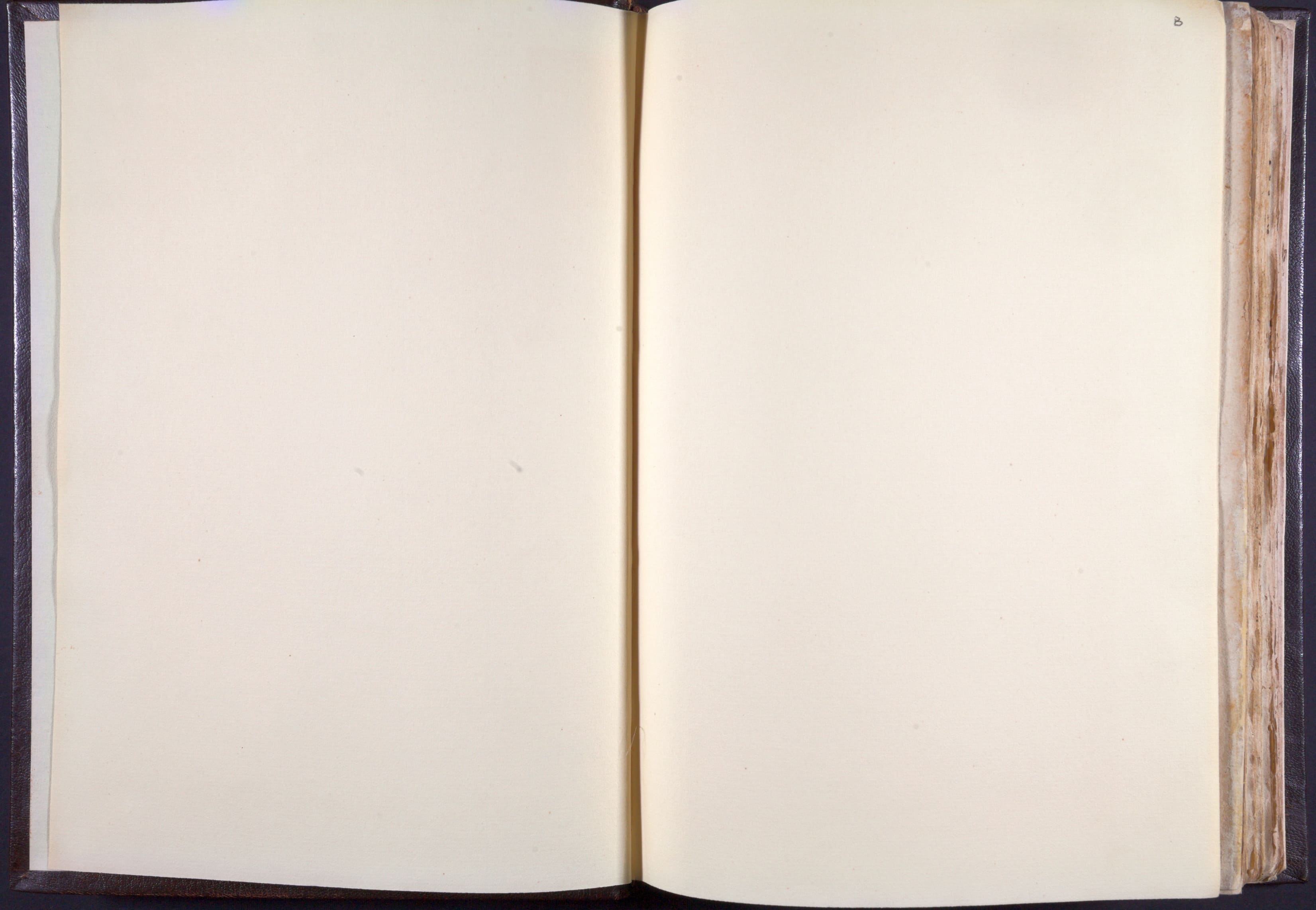 Mss-Regg-C-54:0003_Mss_Regg_C_54_cdg Av_cdg Br.jpg