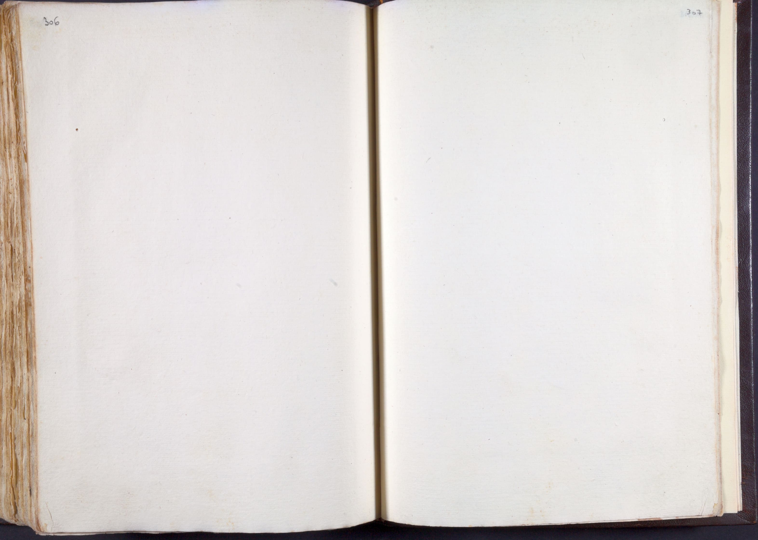 Mss-Regg-C-54:0160_Mss_Regg_C_54_p 306_p 307.jpg