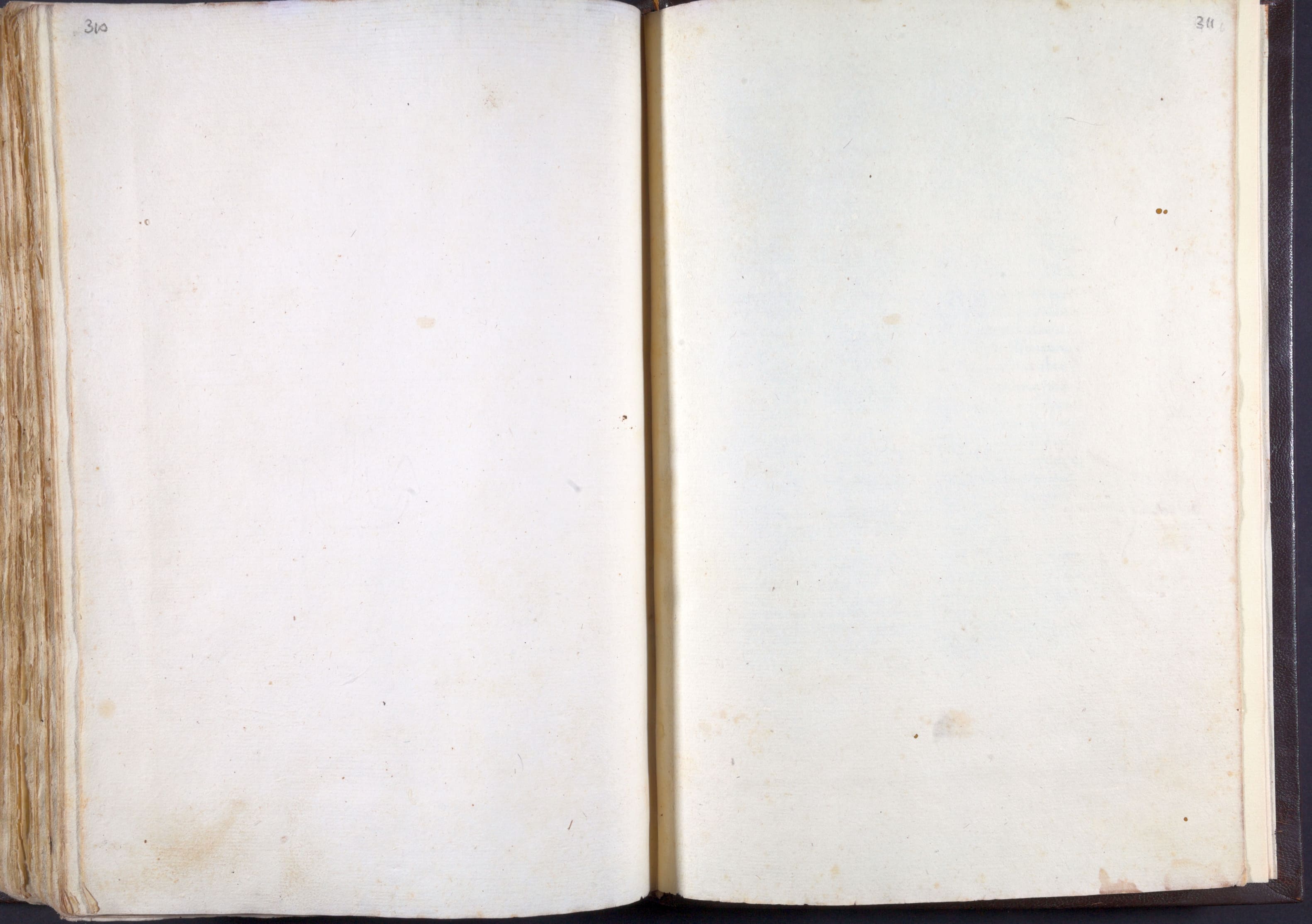 Mss-Regg-C-54:0162_Mss_Regg_C_54_p 310_p 311.jpg