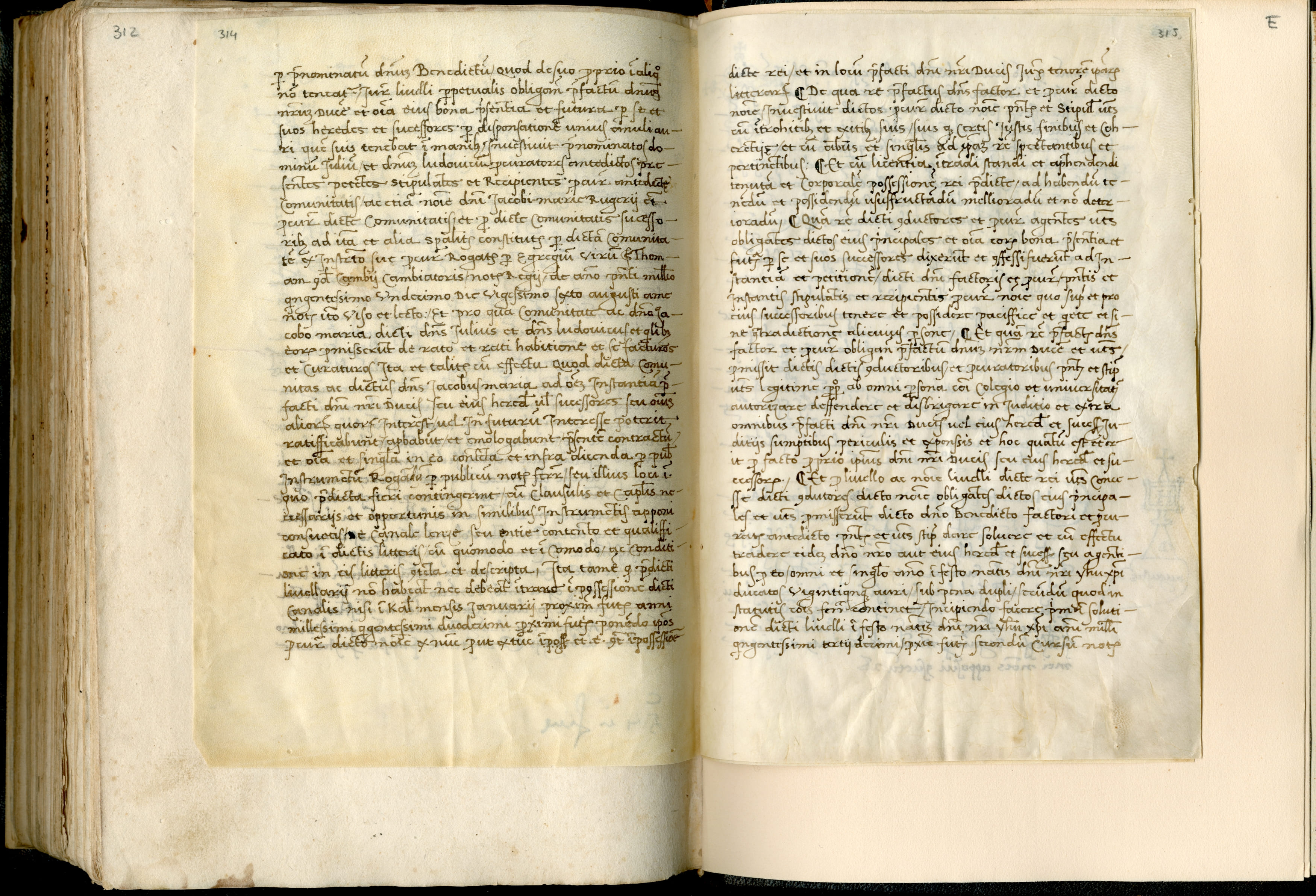 Mss-Regg-C-54:0164_Mss_Regg_C_54_p 314_p 315.jpg