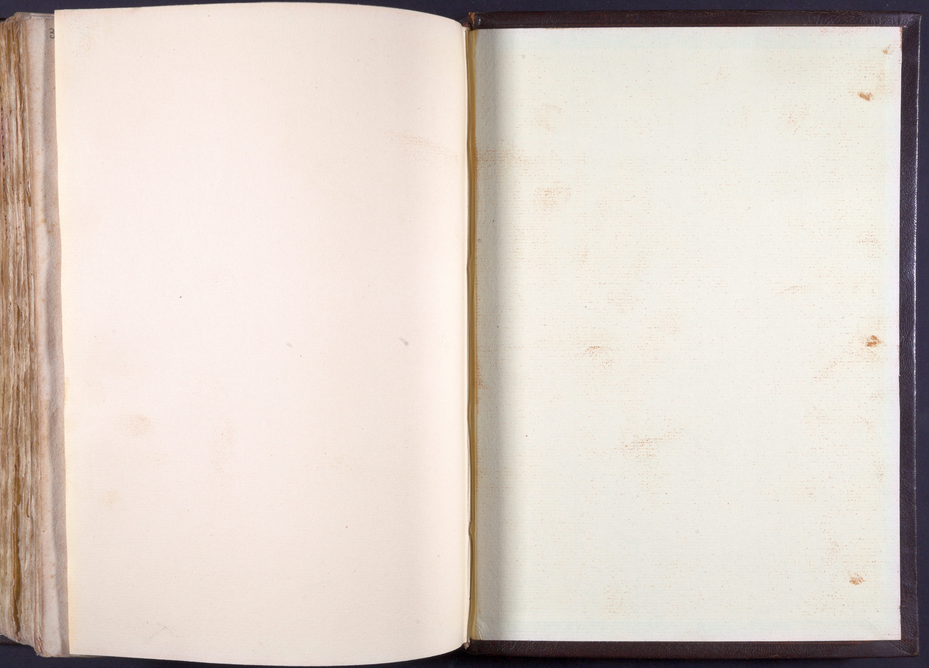 Mss-Regg-C-54:0169_Mss_Regg_C_54_cdg Fv_cpp.jpg