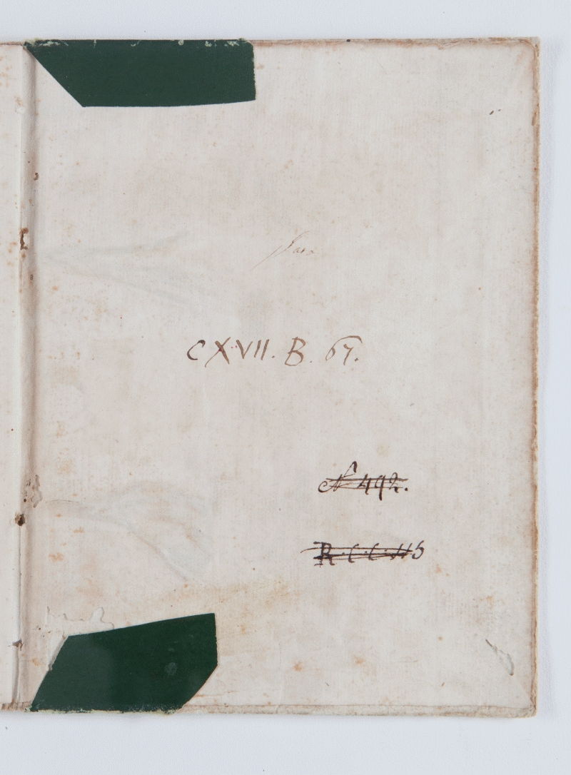 contropiatto_posteriore