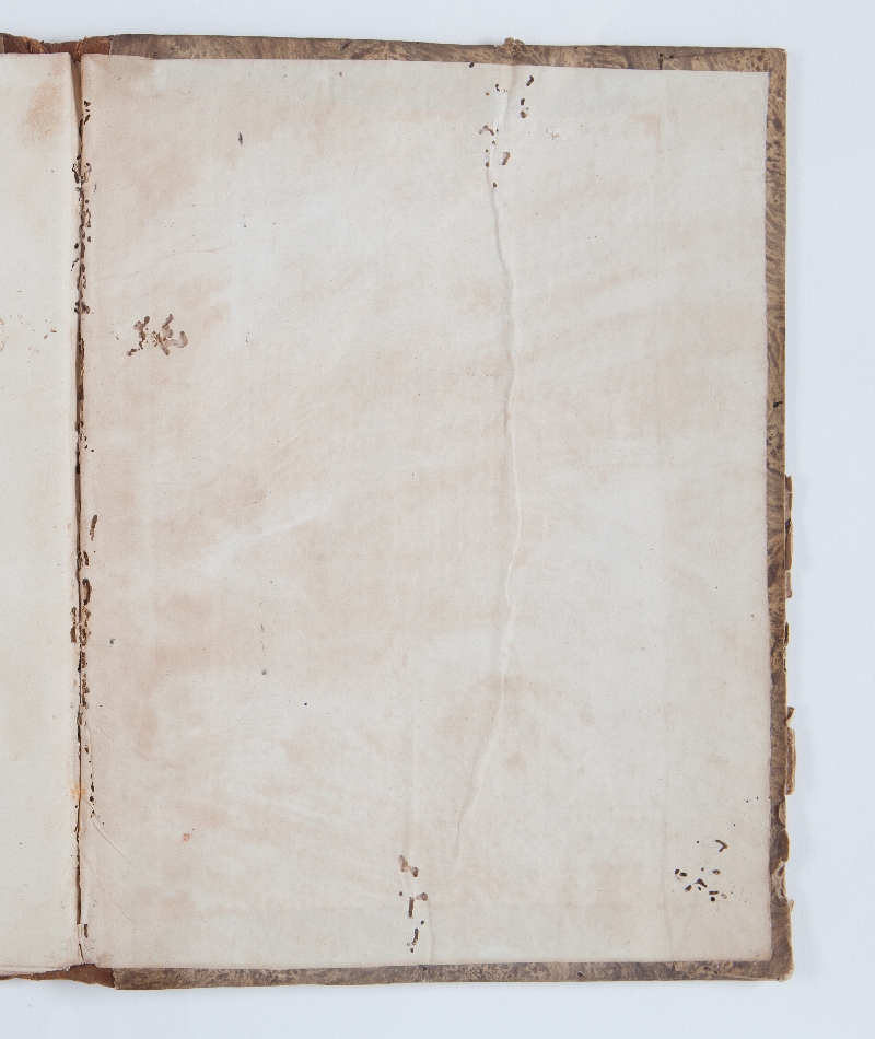 contropiatto_posteriore