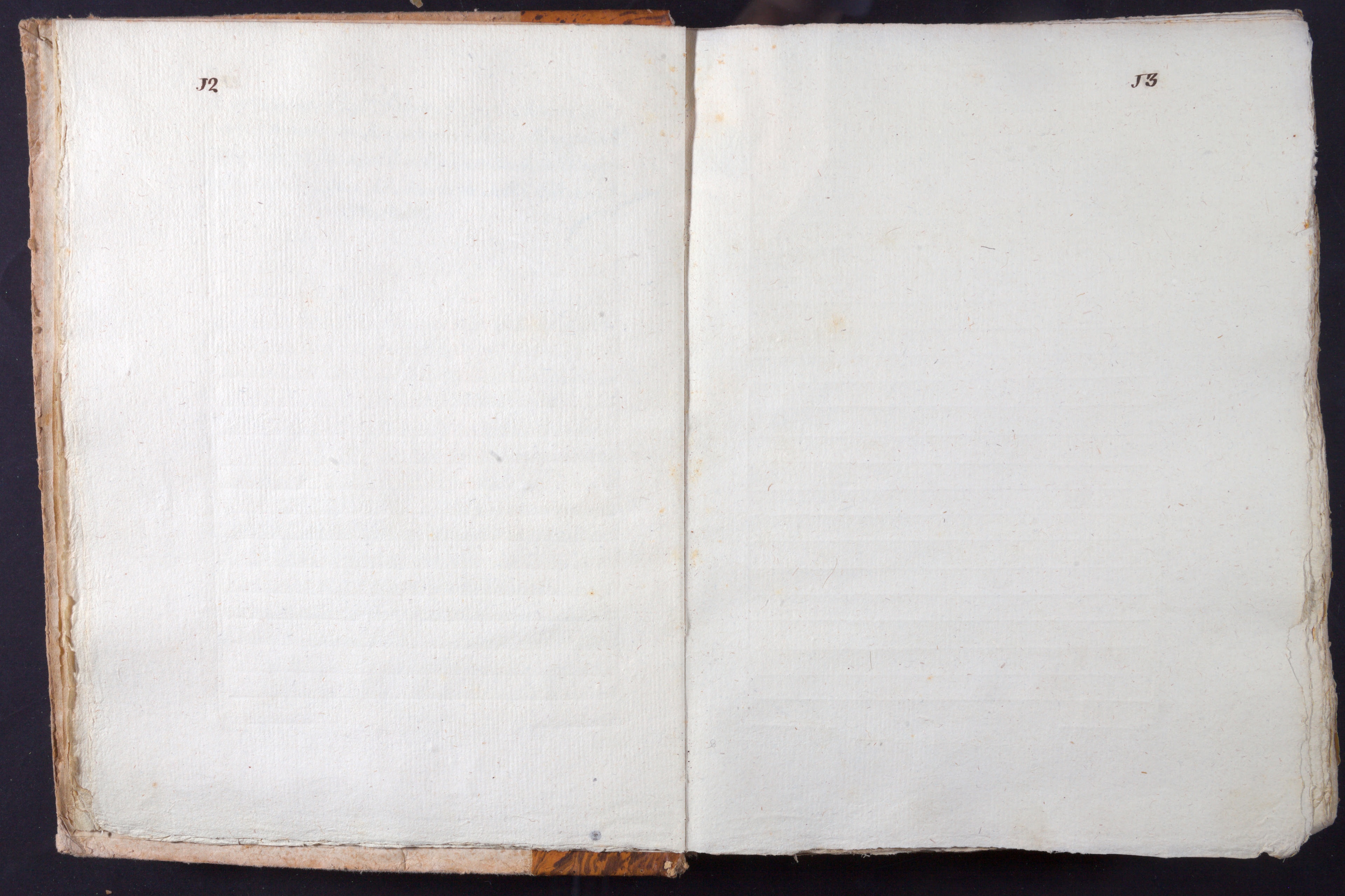 Mss-Turri-D-73:0009_Mss_Turri_D_73_p 12_p 13.jpg