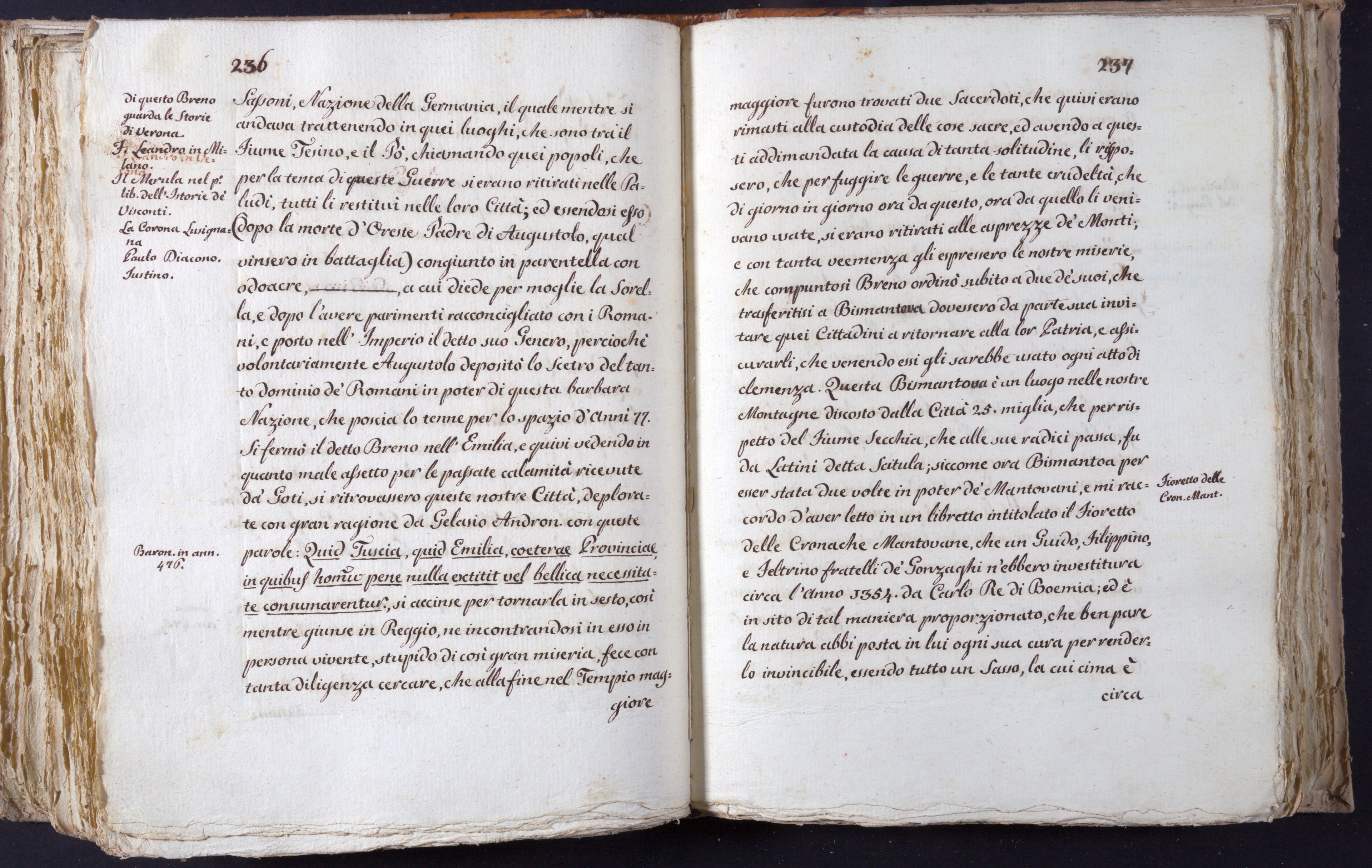 Mss-Turri-D-73:0121_Mss_Turri_D_73_p 236_p 237.jpg