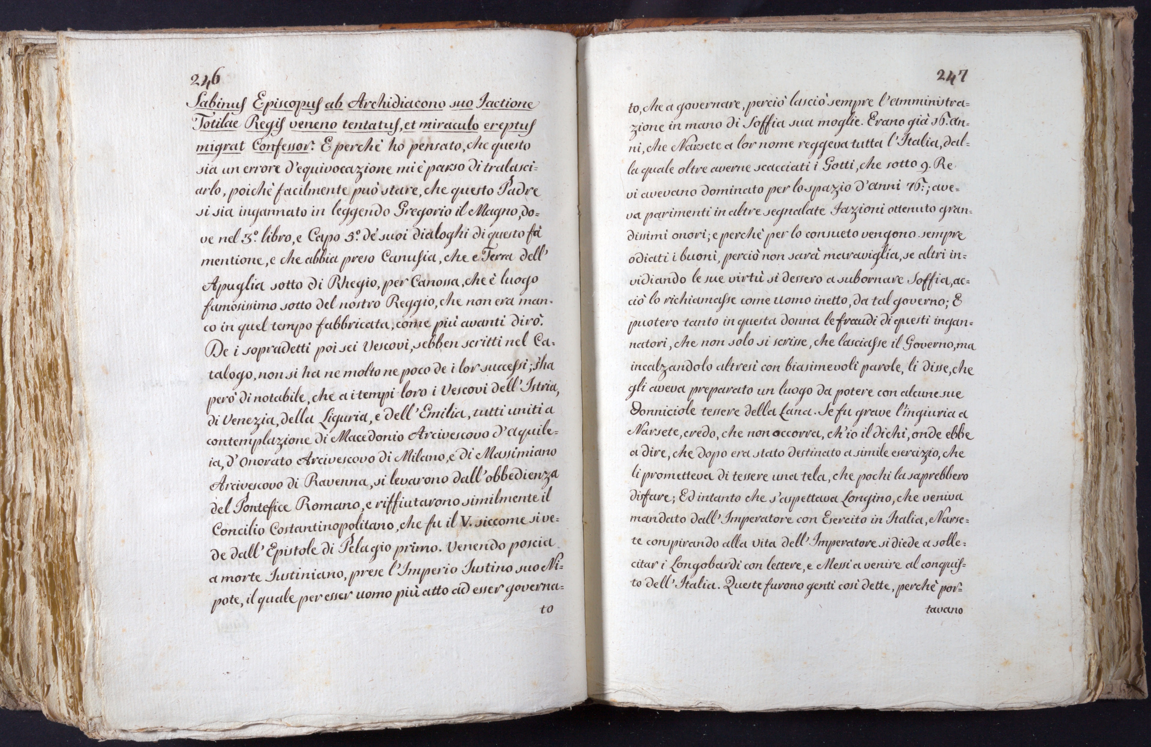 Mss-Turri-D-73:0126_Mss_Turri_D_73_p 246_p 247.jpg