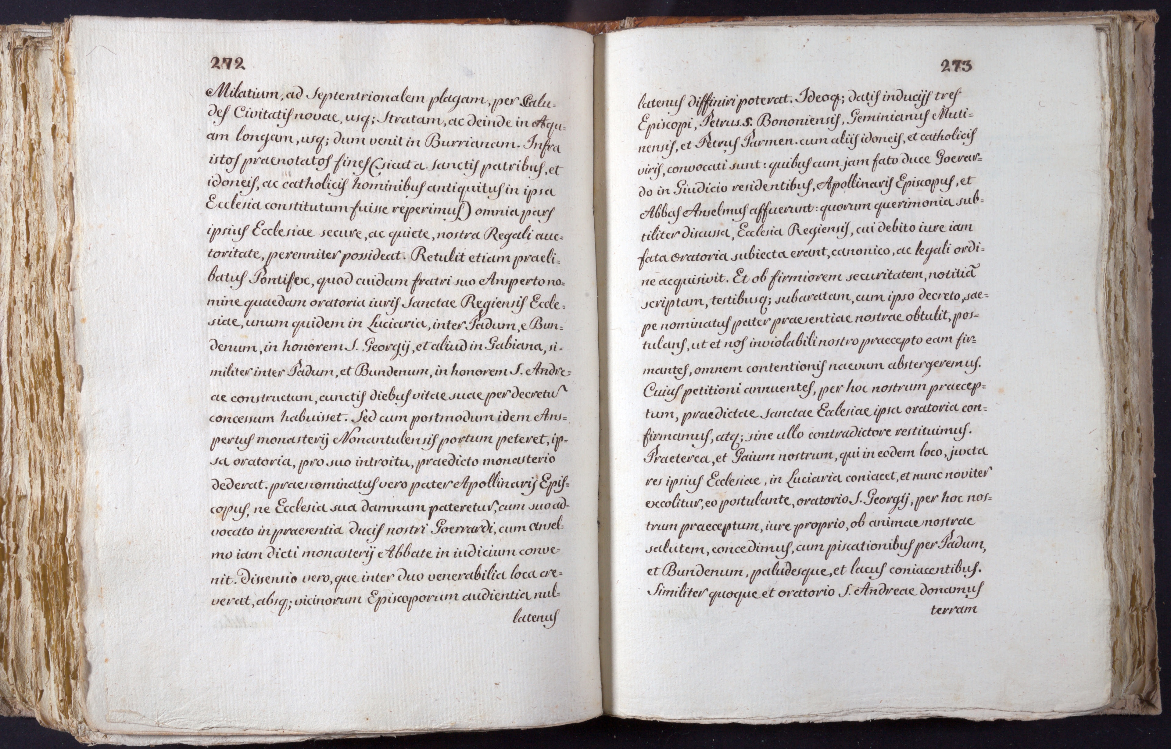 Mss-Turri-D-73:0139_Mss_Turri_D_73_p 272_p 273.jpg