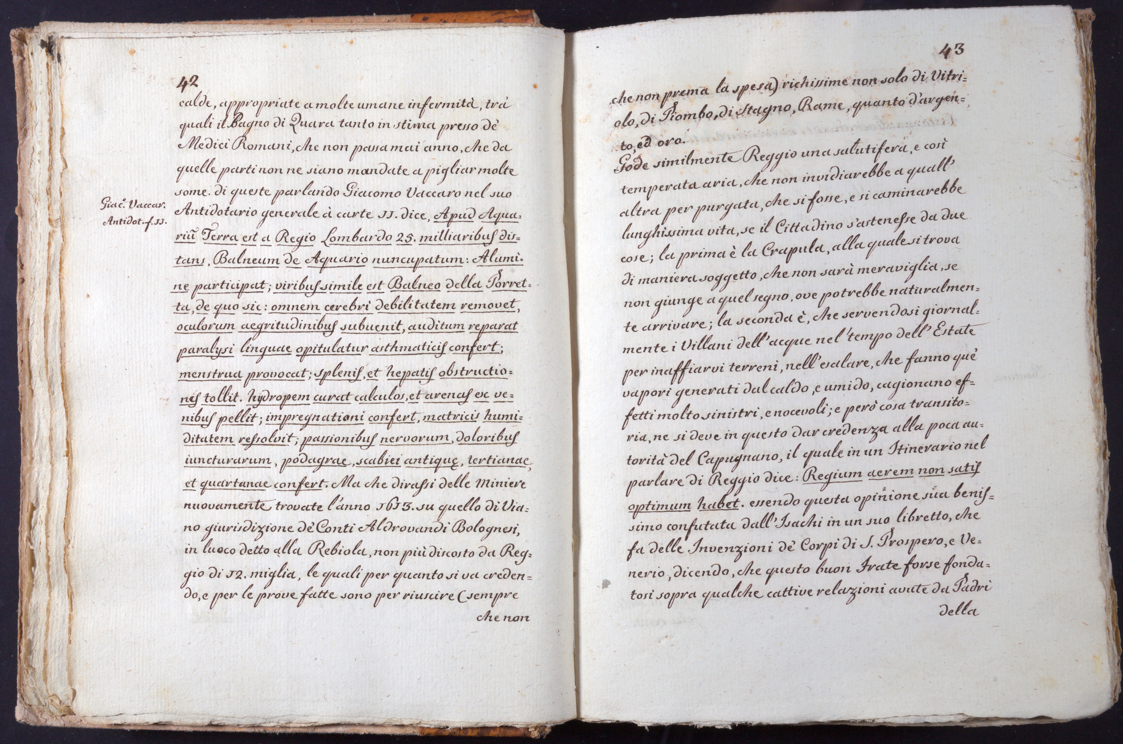 Mss-Turri-D-73:0024_Mss_Turri_D_73_p 42_p 43.jpg