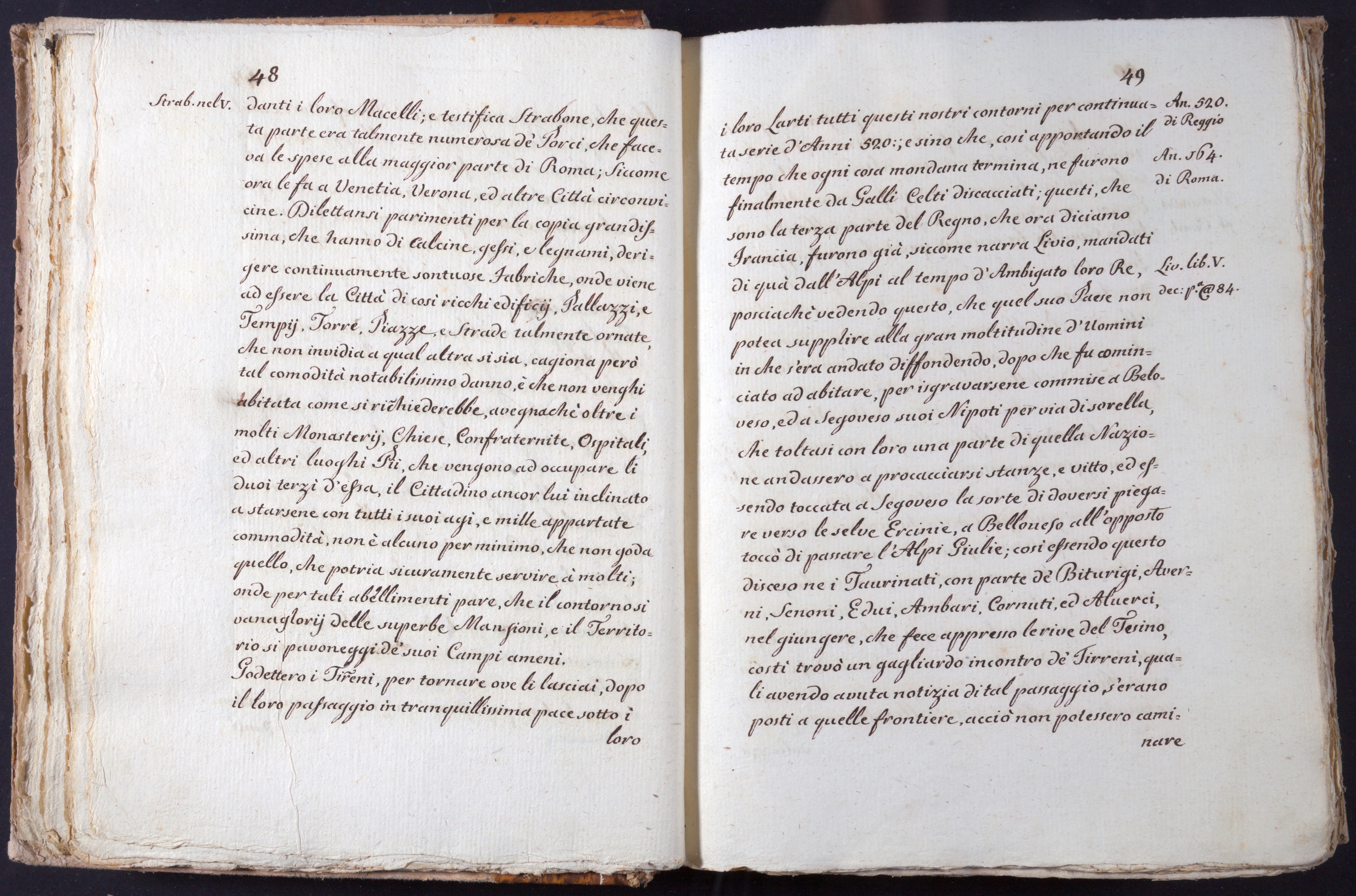 Mss-Turri-D-73:0027_Mss_Turri_D_73_p 48_p 49.jpg