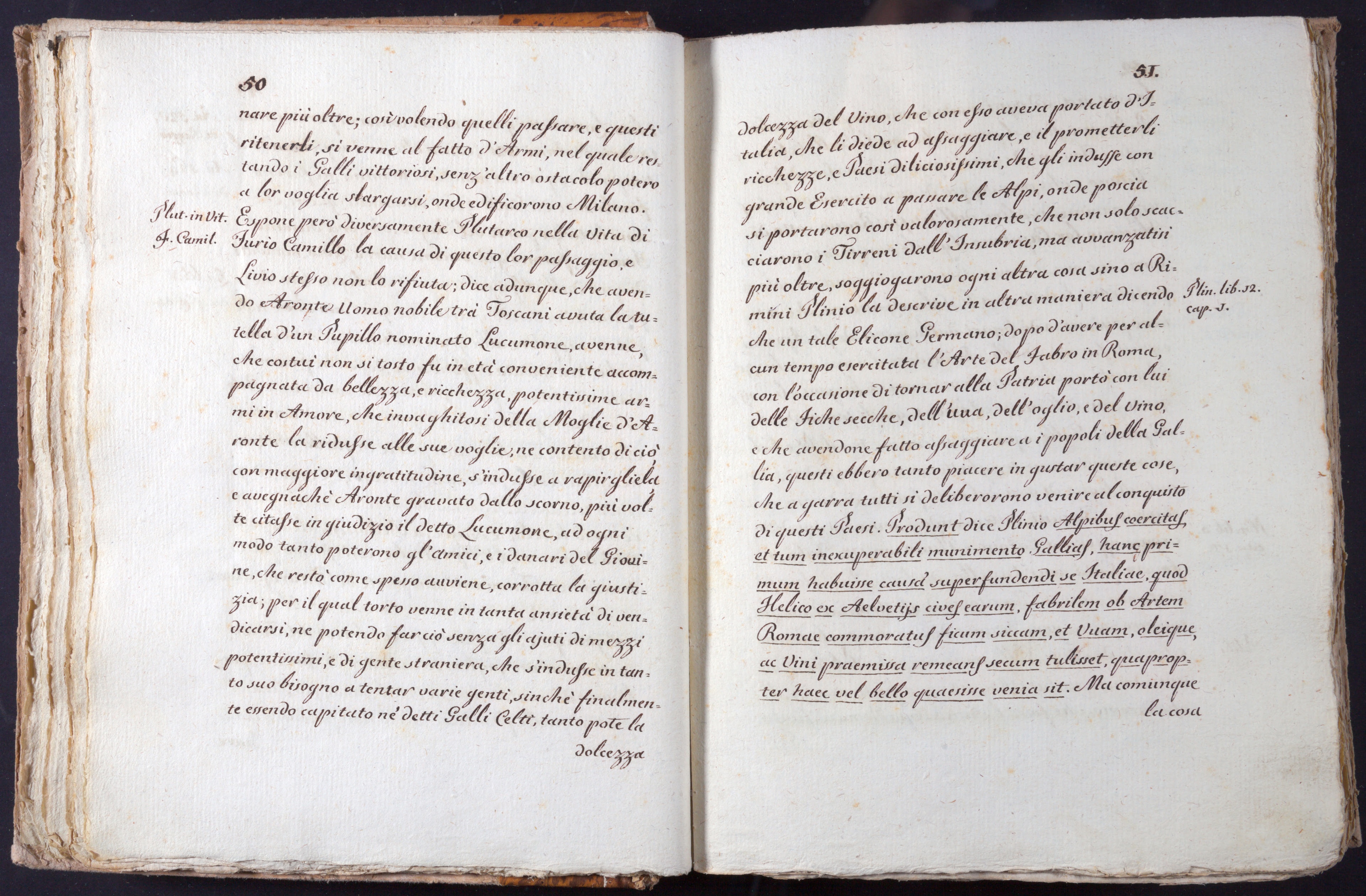 Mss-Turri-D-73:0028_Mss_Turri_D_73_p 50_p 51.jpg