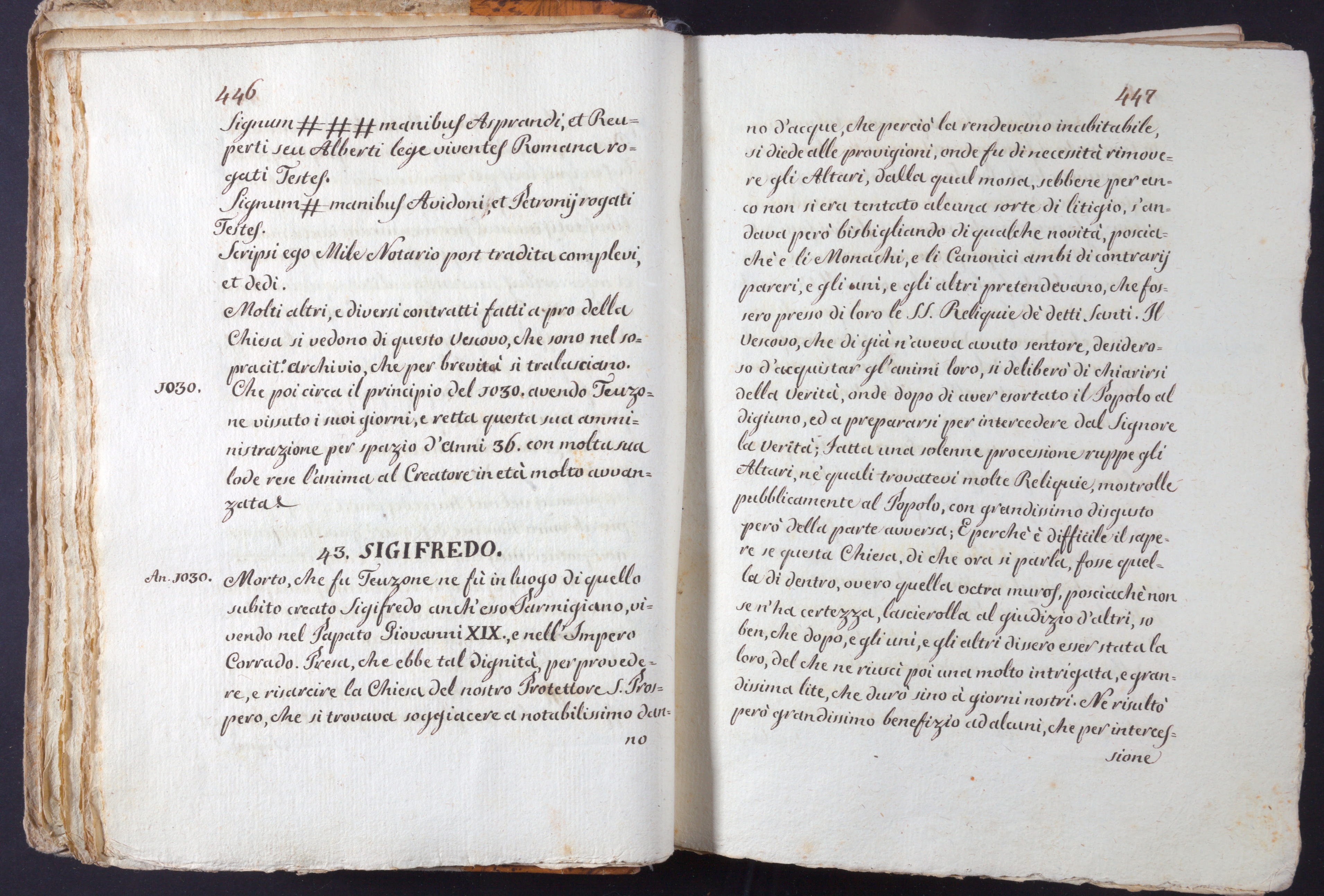 Mss-Turri-D-74:0033_Mss_Turri_D_74_p 446_p 447.jpg