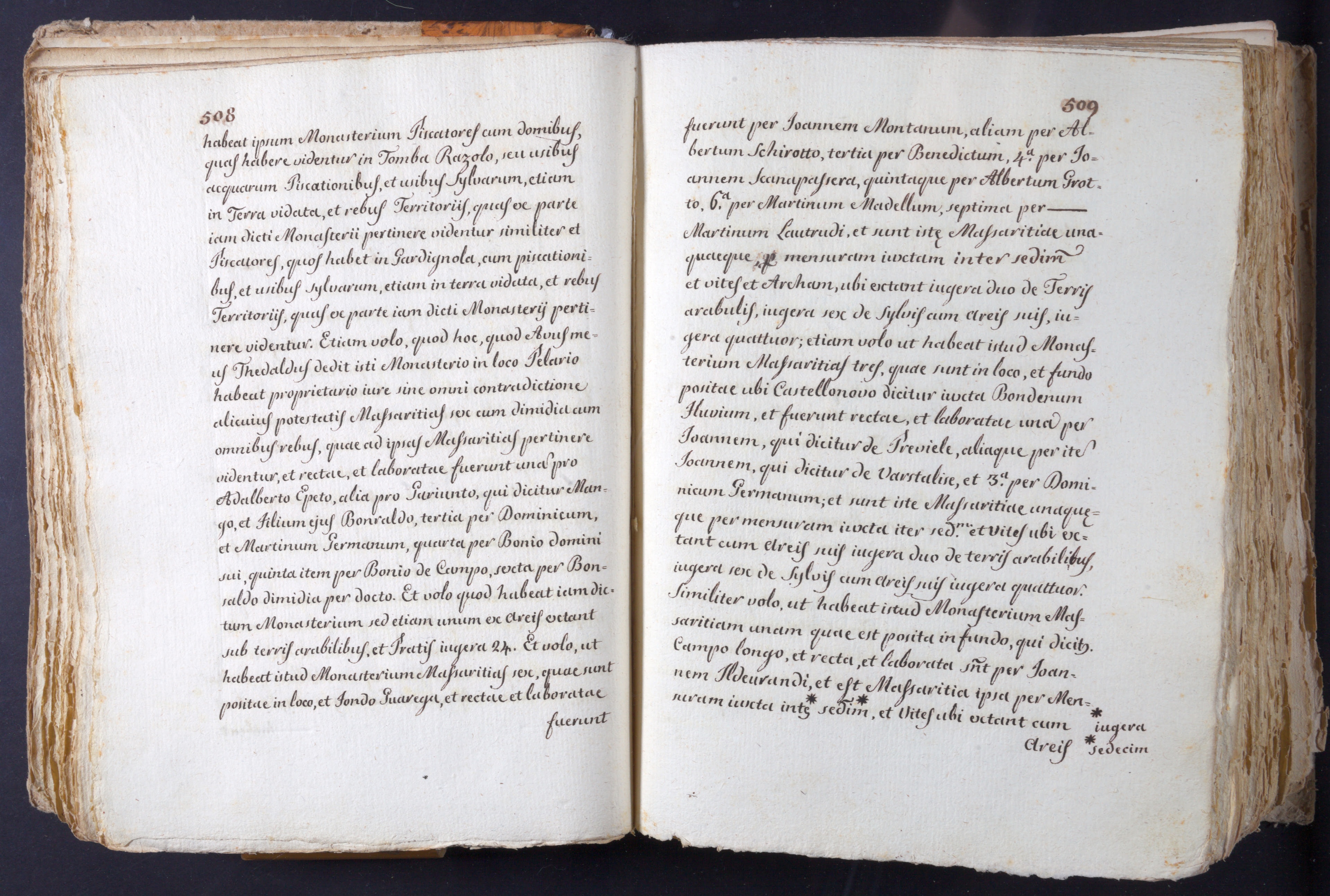 Mss-Turri-D-74:0064_Mss_Turri_D_74_p 508_p 509.jpg