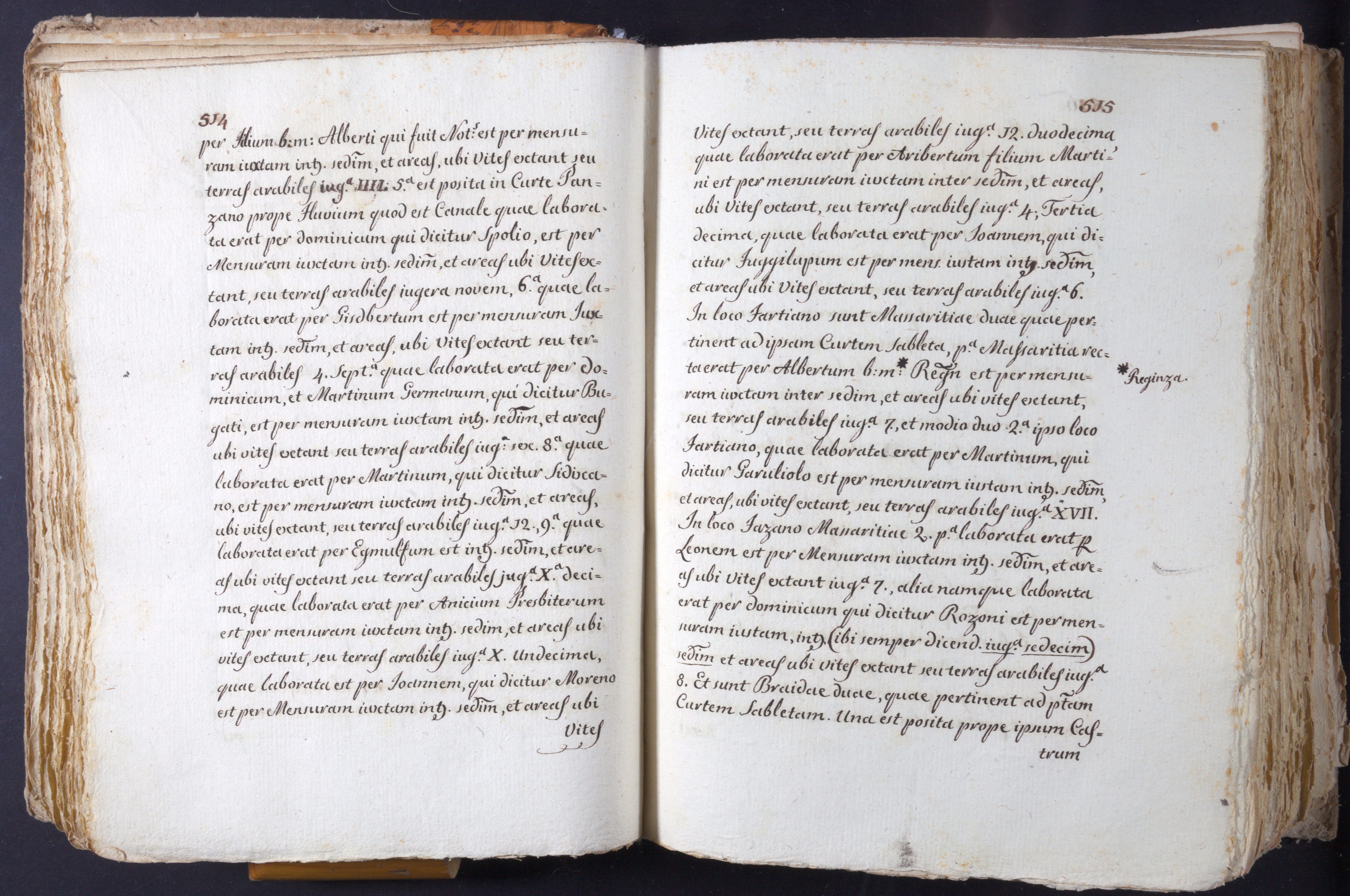 Mss-Turri-D-74:0067_Mss_Turri_D_74_p 514_p 515.jpg