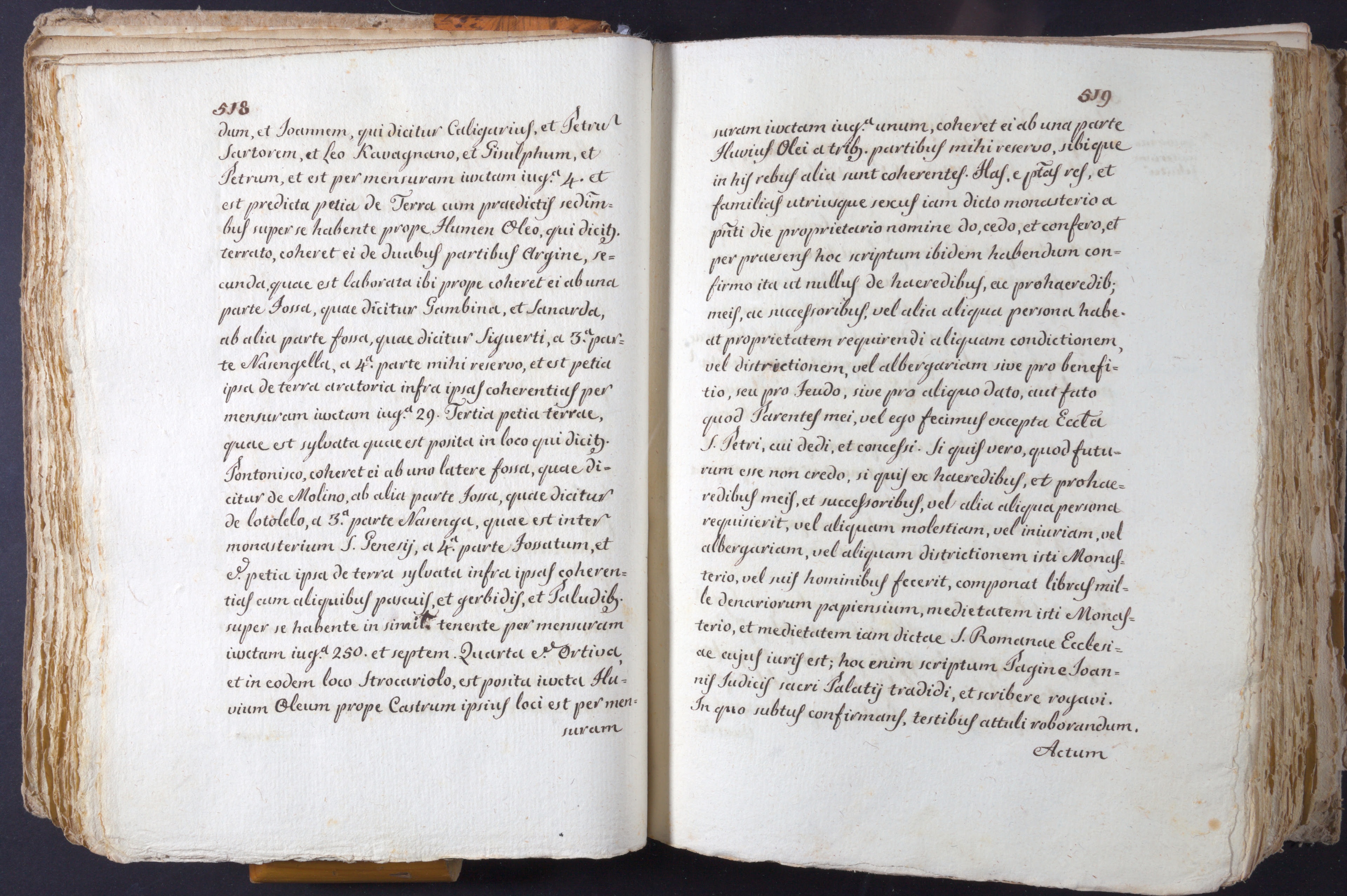 Mss-Turri-D-74:0069_Mss_Turri_D_74_p 518_p 519.jpg