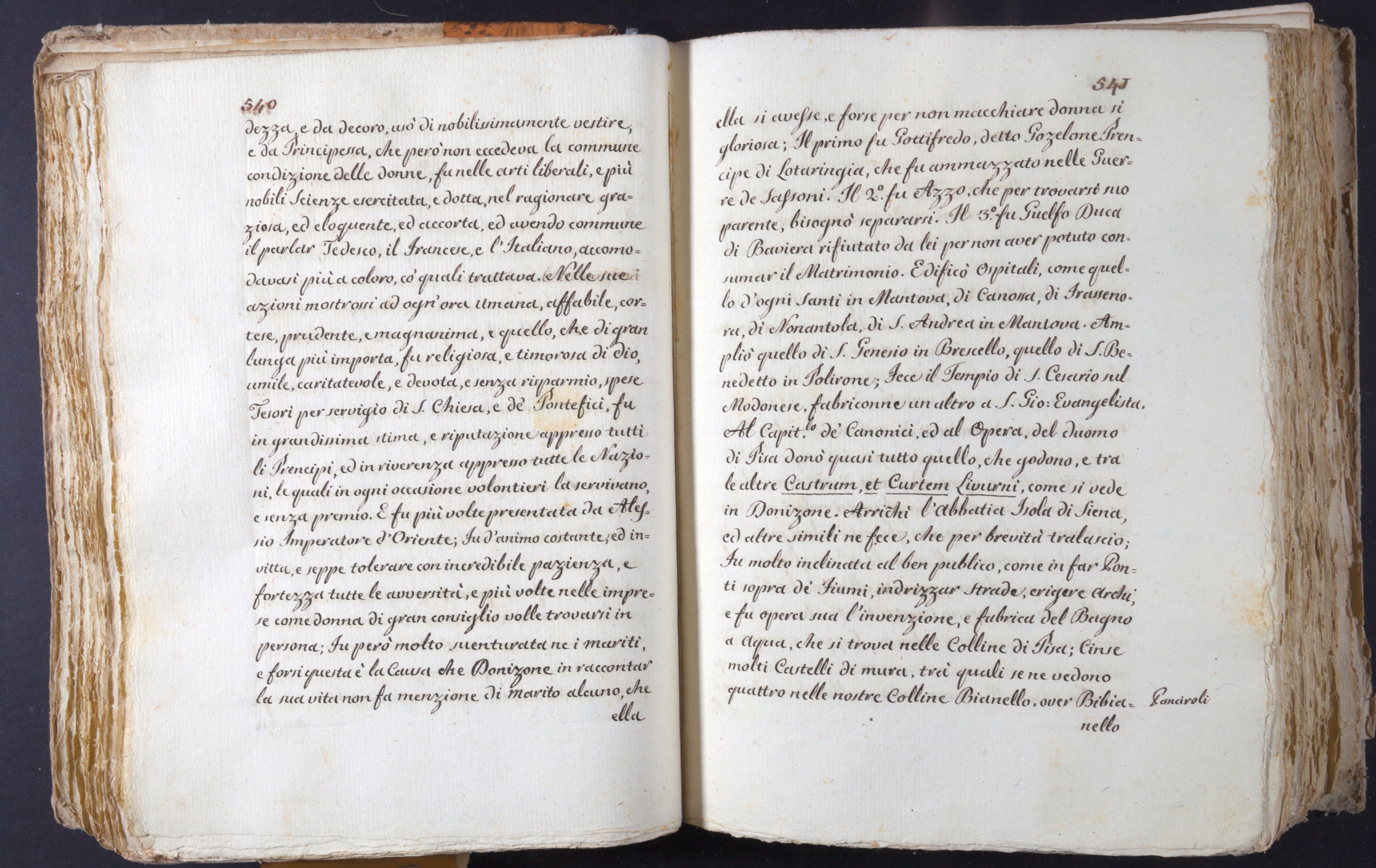 Mss-Turri-D-74:0080_Mss_Turri_D_74_p 540_p 541.jpg