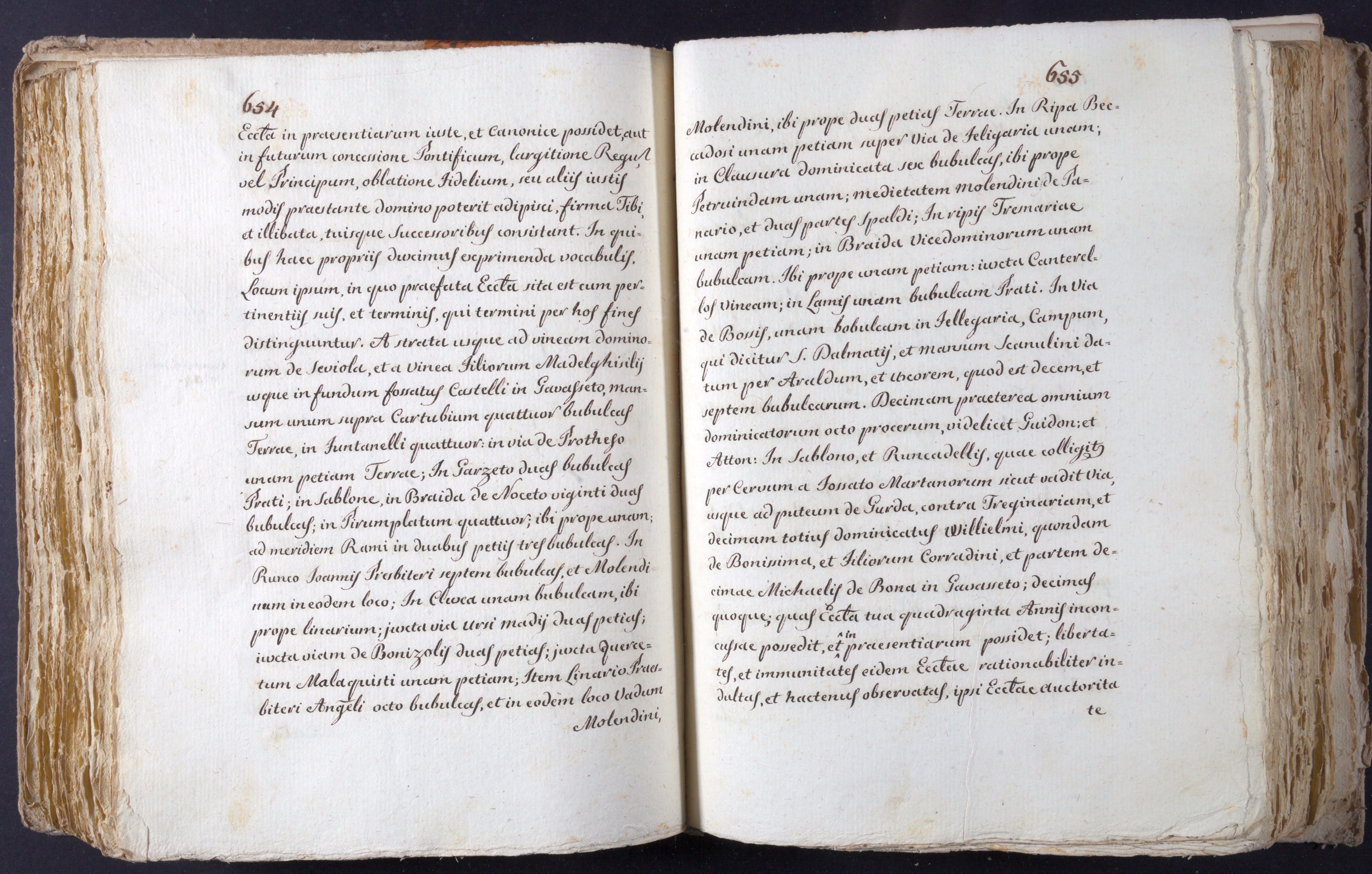 Mss-Turri-D-74:0137_Mss_Turri_D_74_p 654_p 655.jpg