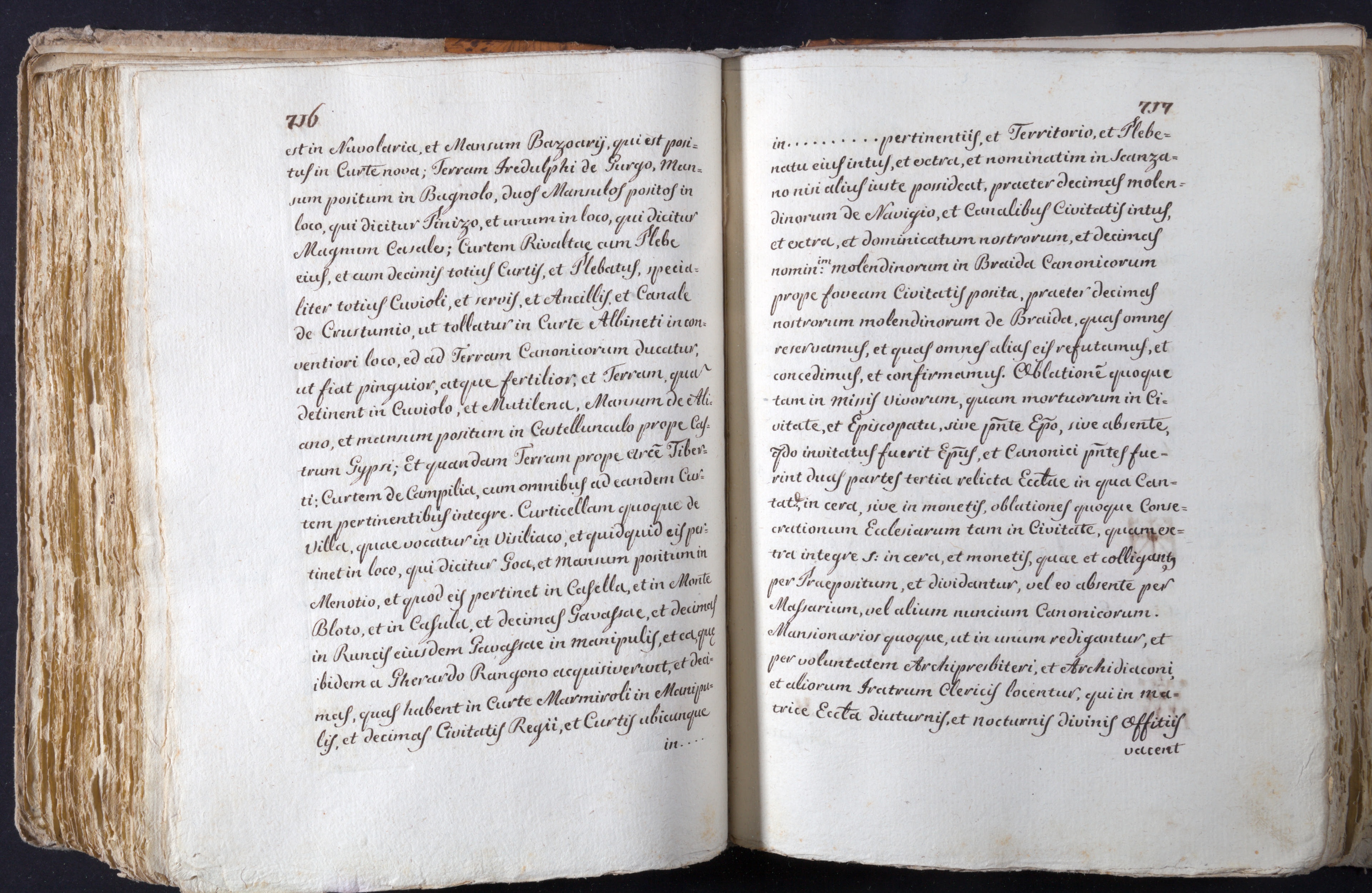 Mss-Turri-D-74:0167_Mss_Turri_D_74_p 716_p 717b.jpg