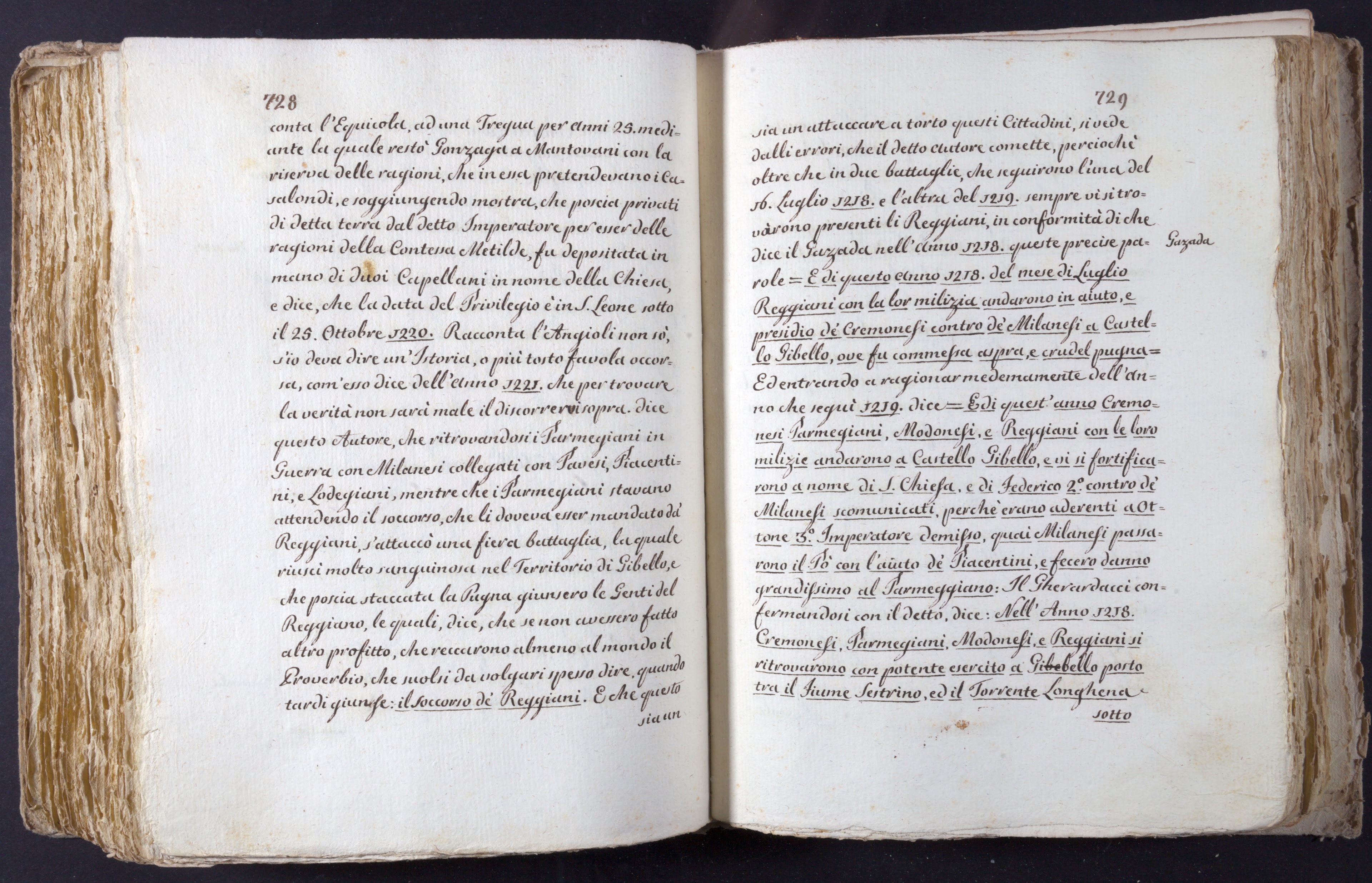 Mss-Turri-D-74:0173_Mss_Turri_D_74_p 728_p 729.jpg