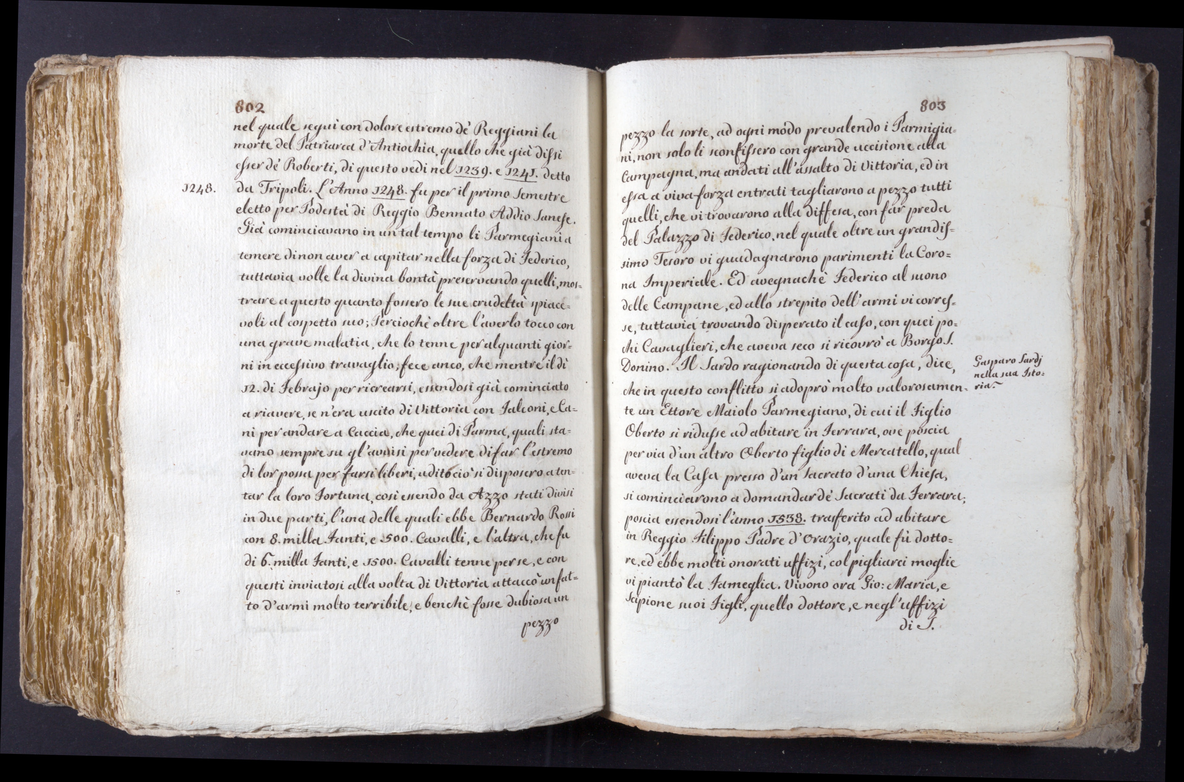 Mss-Turri-D-74:0210_Mss_Turri_D_74_p 802_p 803.jpg