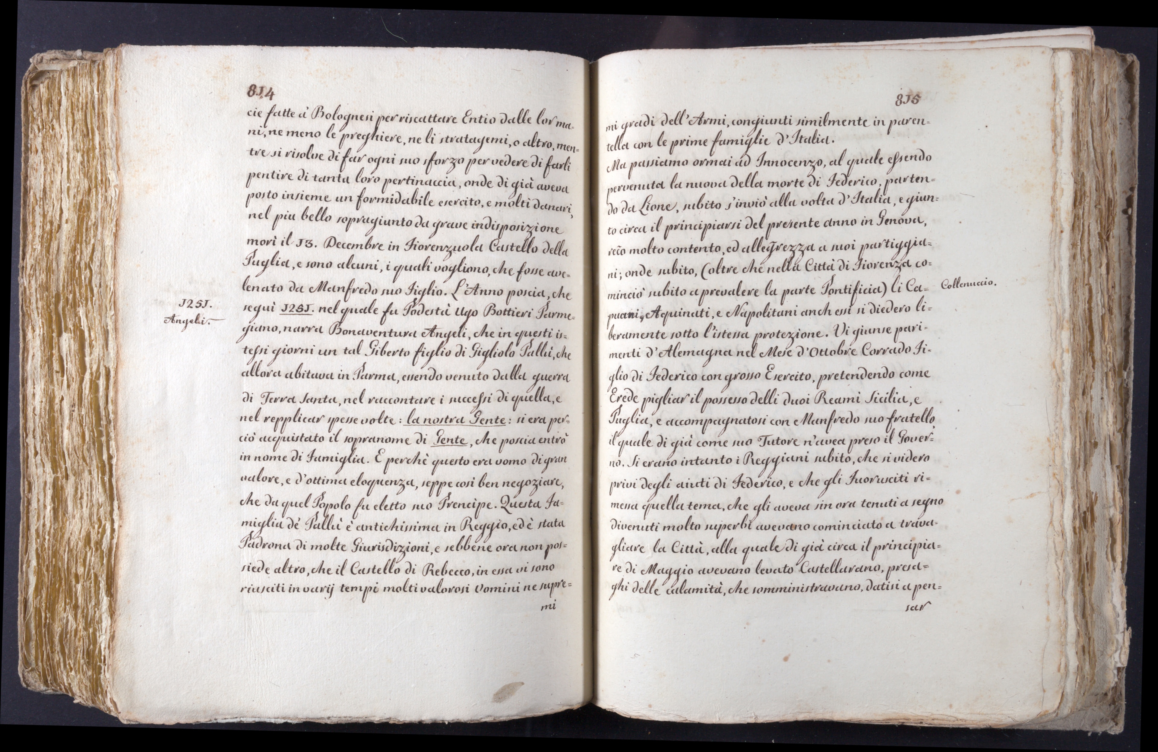 Mss-Turri-D-74:0216_Mss_Turri_D_74_p 814_p 815.jpg