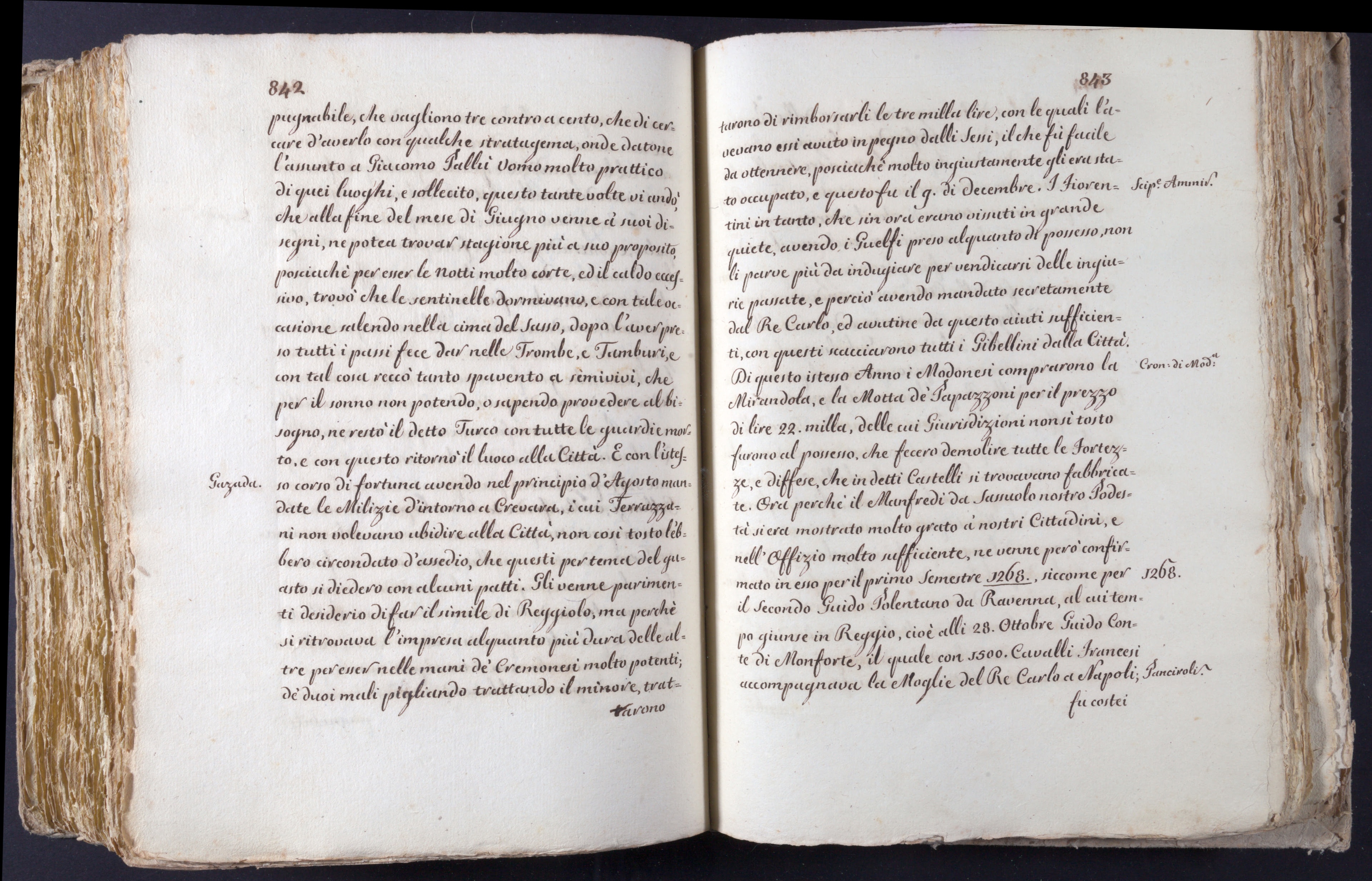 Mss-Turri-D-74:0230_Mss_Turri_D_74_p 842_p 843.jpg