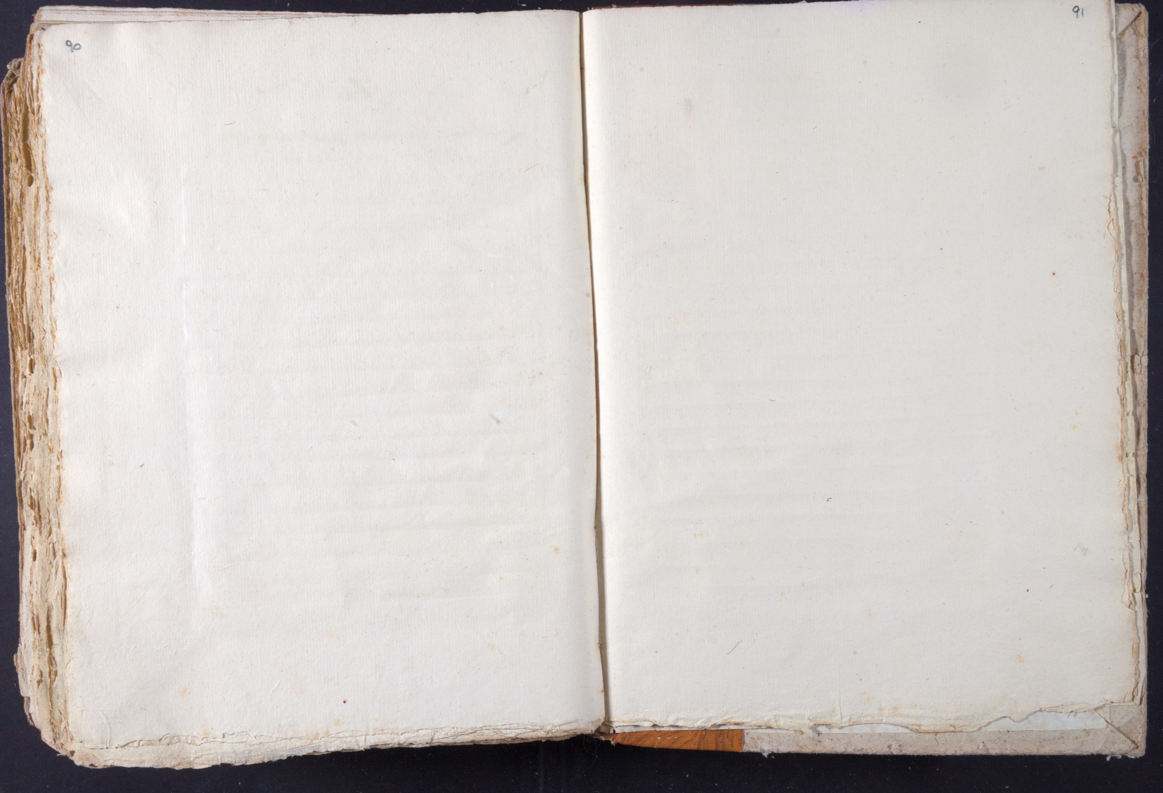 Mss-Turri-D-74:0304_Mss_Turri_D_74_p [90]_p [91].jpg