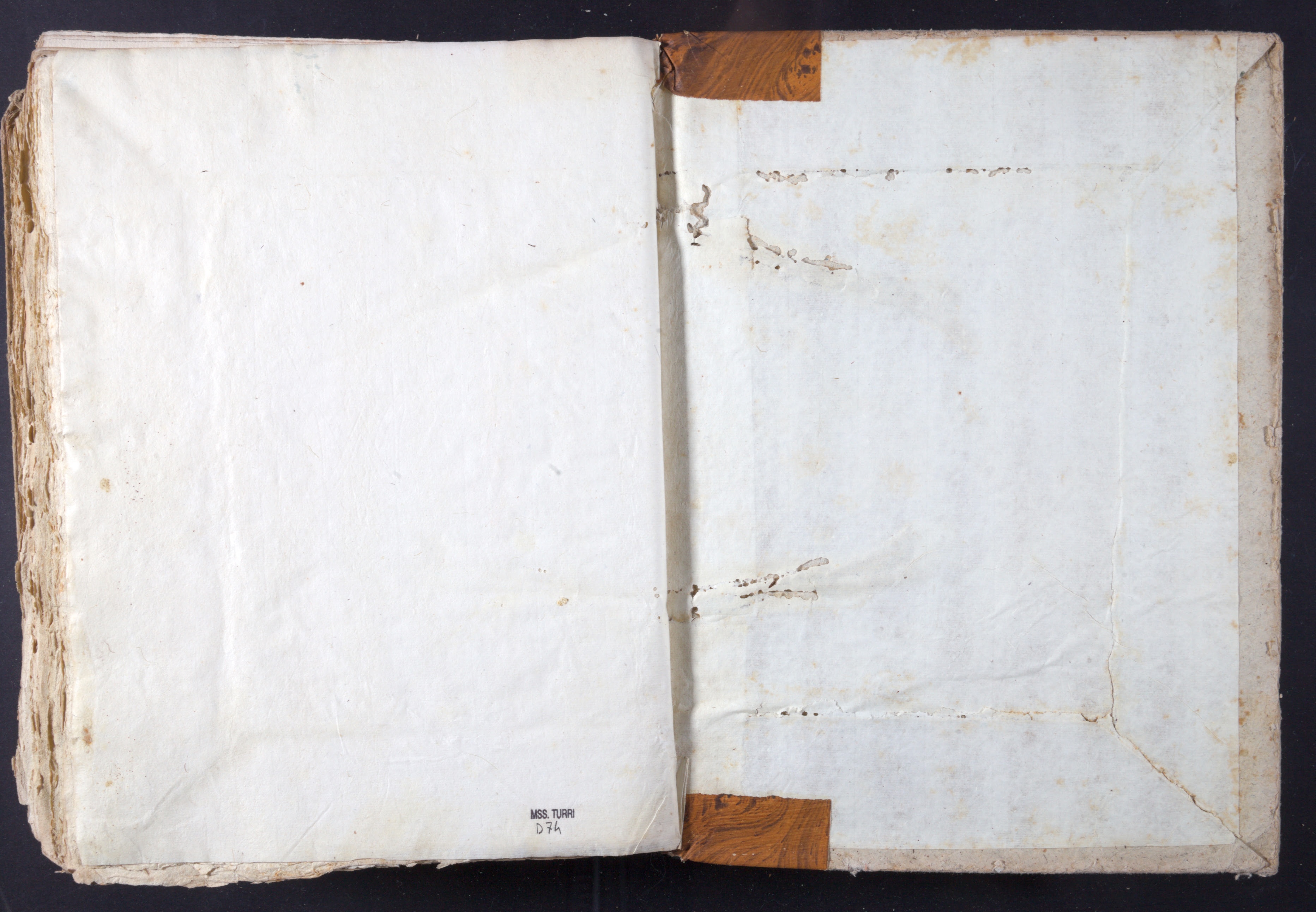 Mss-Turri-D-74:0308_Mss_Turri_D_74_cdg IIv_cpp.jpg