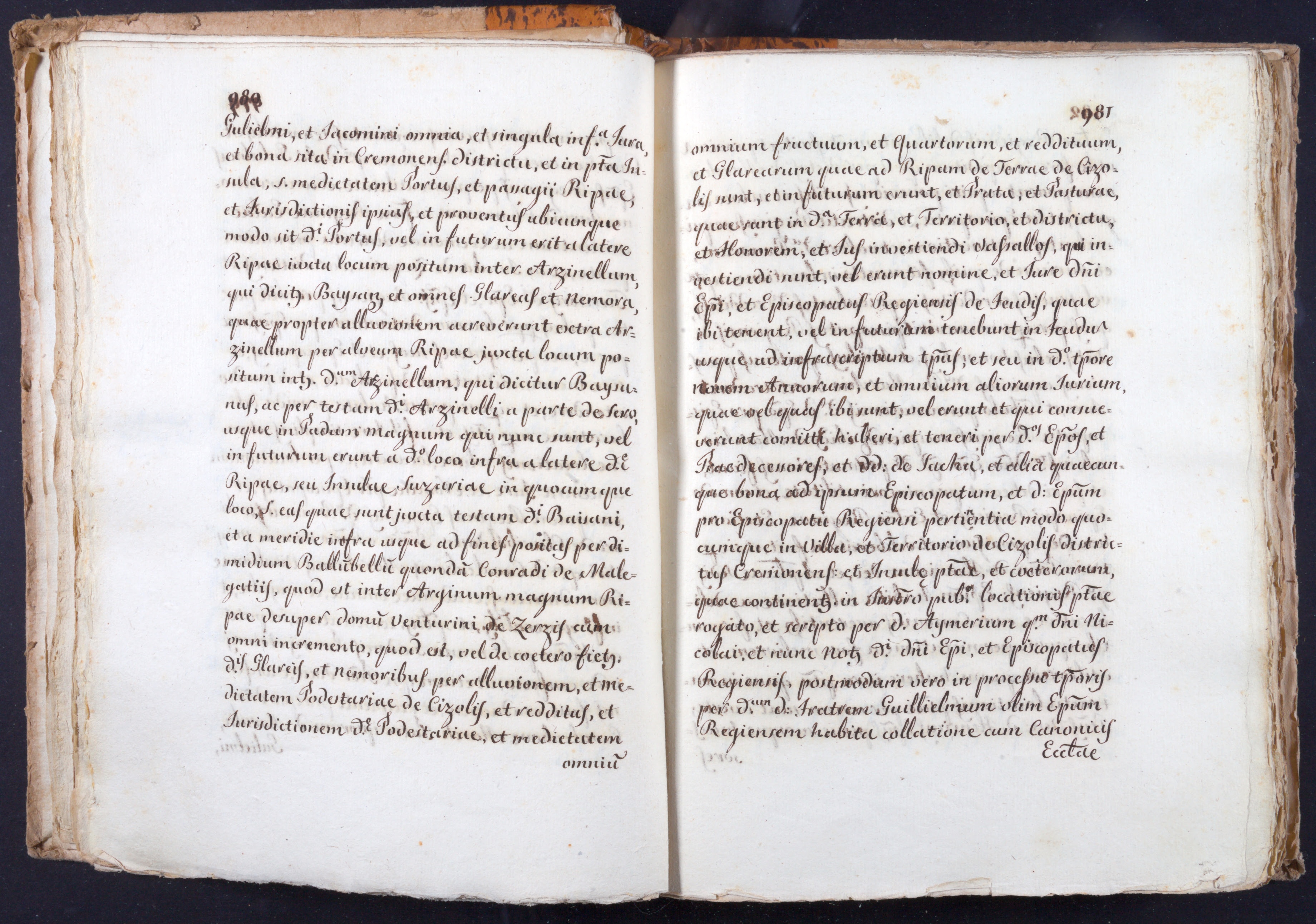 Mss-Turri-D-75:0043_Mss_Turri_D_75_p 980_p 981.jpg