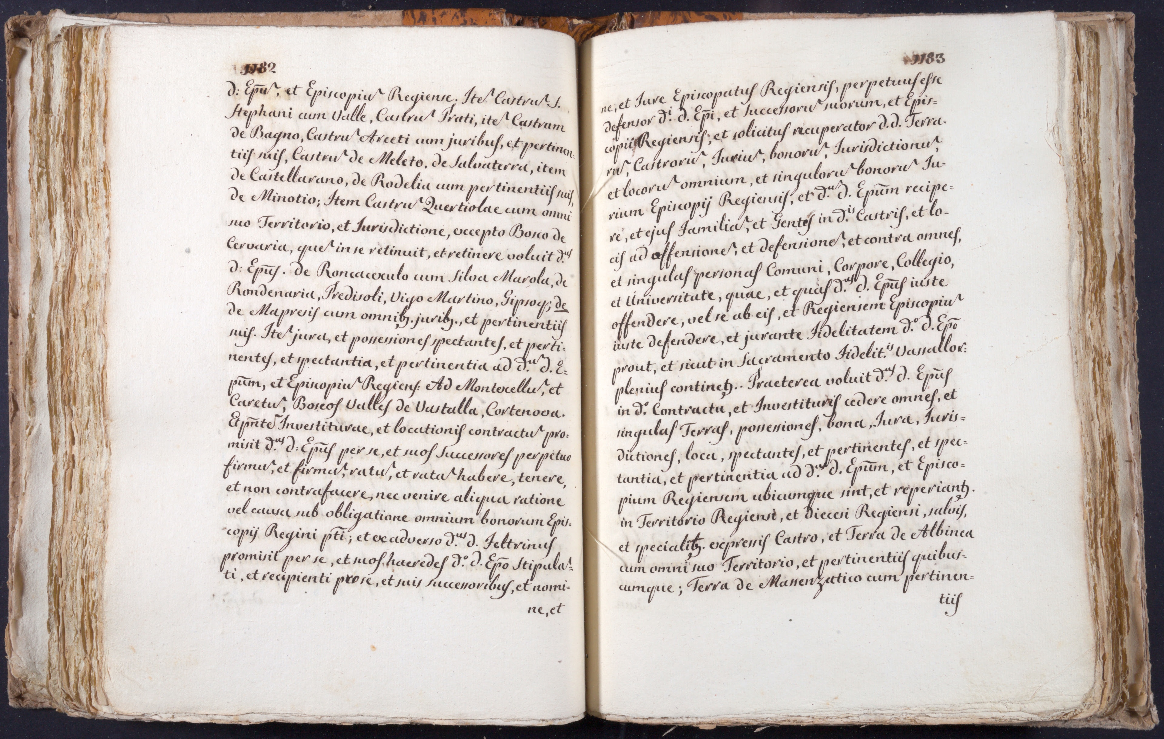 Mss-Turri-D-75:0144_Mss_Turri_D_75_p 1182_p 1183.jpg