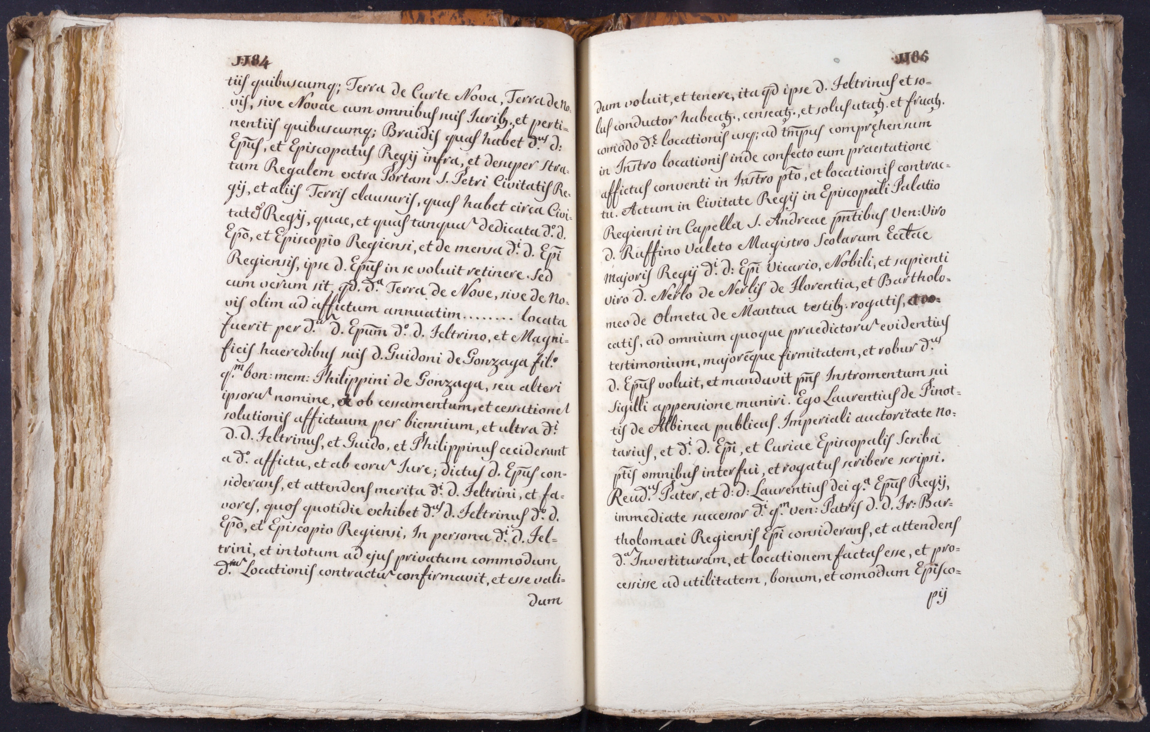 Mss-Turri-D-75:0145_Mss_Turri_D_75_p 1184_p 1185.jpg