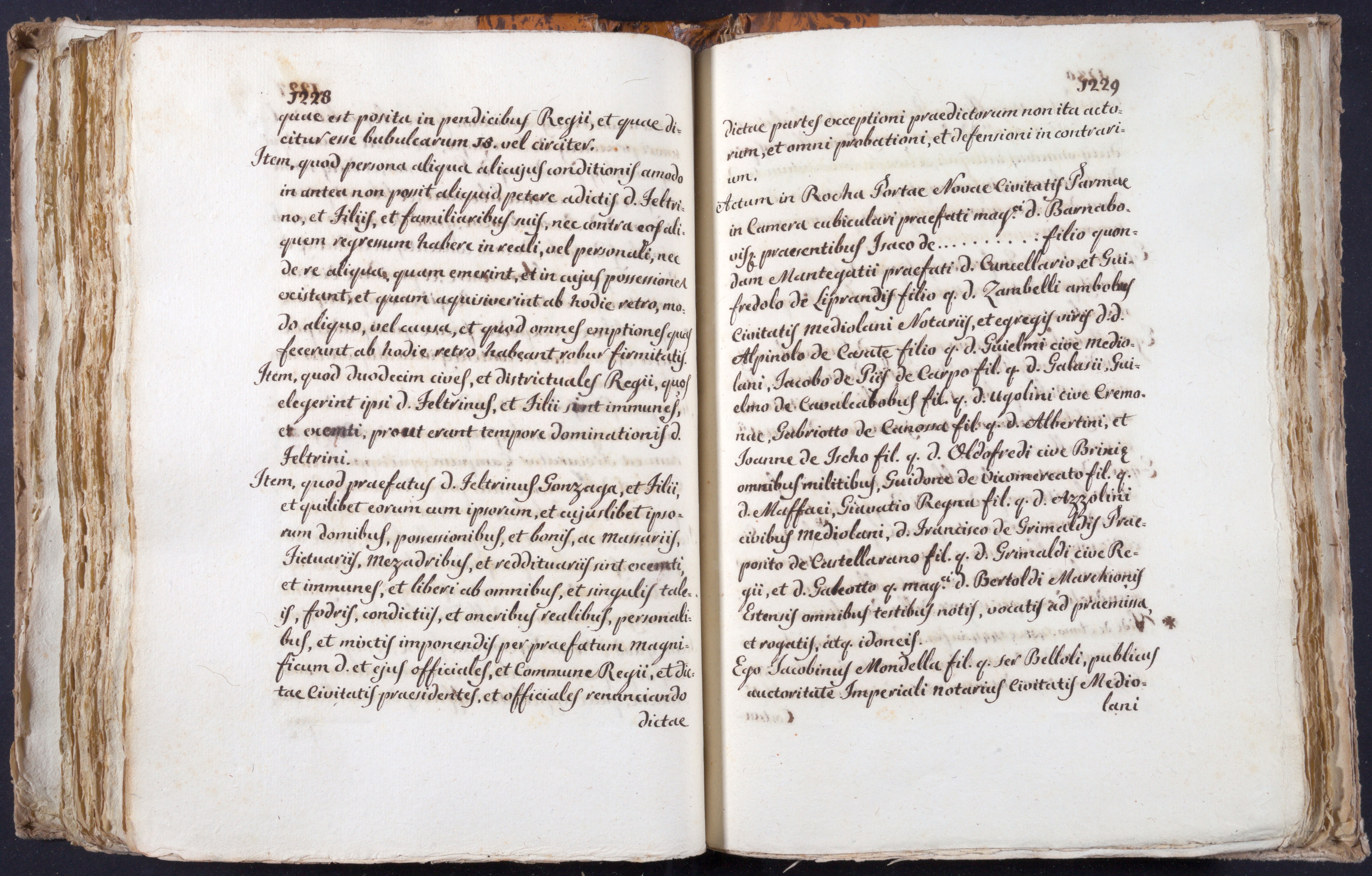 Mss-Turri-D-75:0167_Mss_Turri_D_75_p 1228_p 1229.jpg