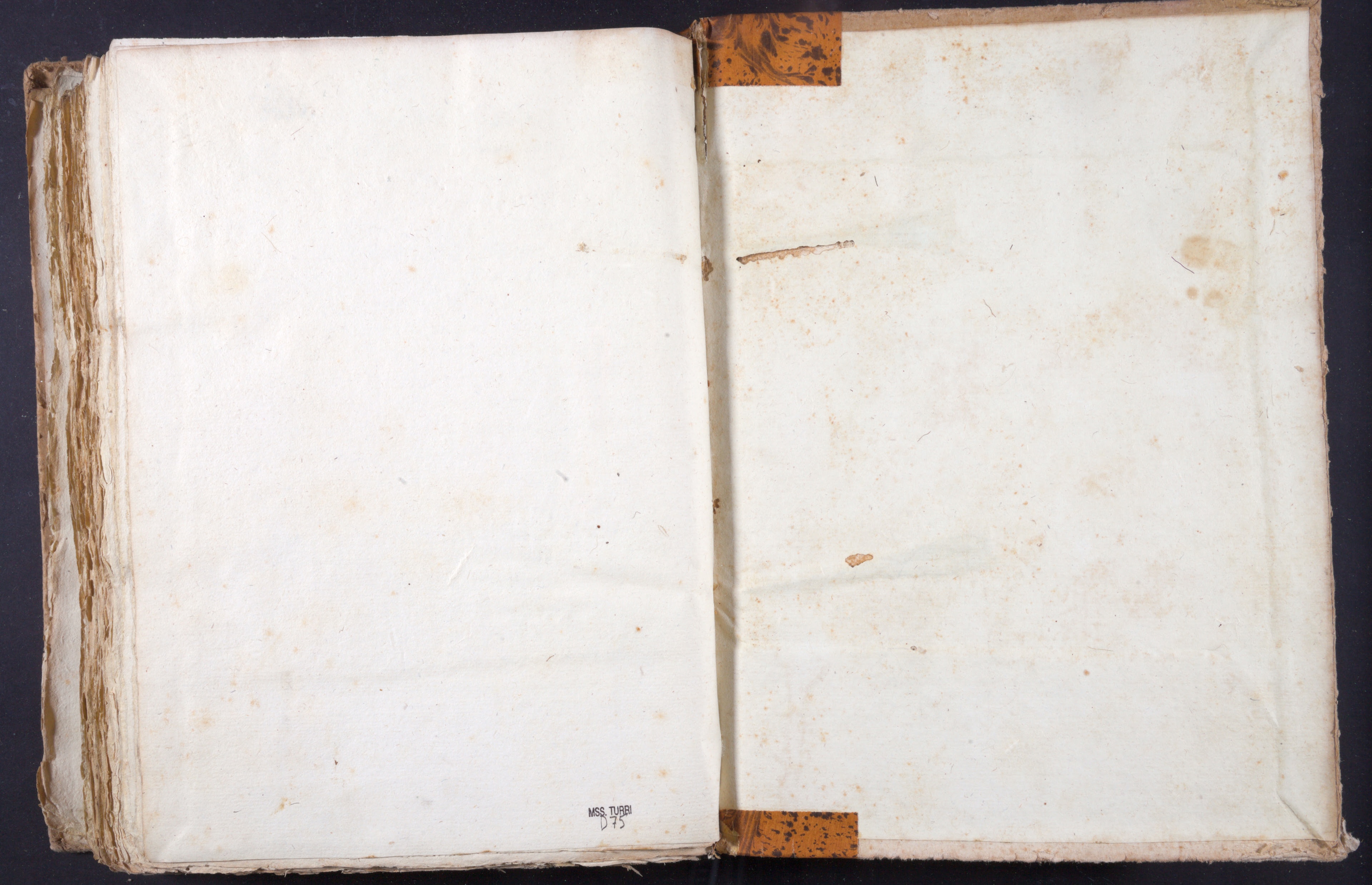 Mss-Turri-D-75:0225_Mss_Turri_D_75_cdg IIv_cpp.jpg