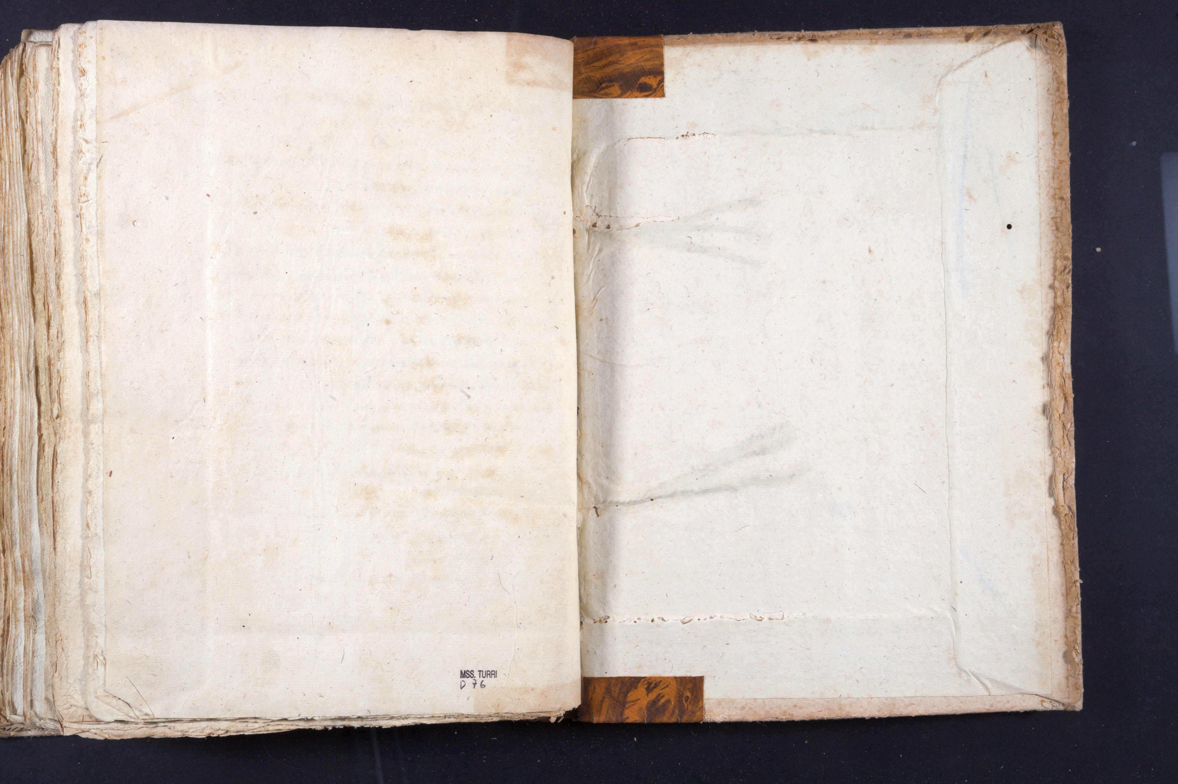 Mss-Turri-D-76:0201_Mss_Turri_D_76_cdg IIv_cpp.jpg