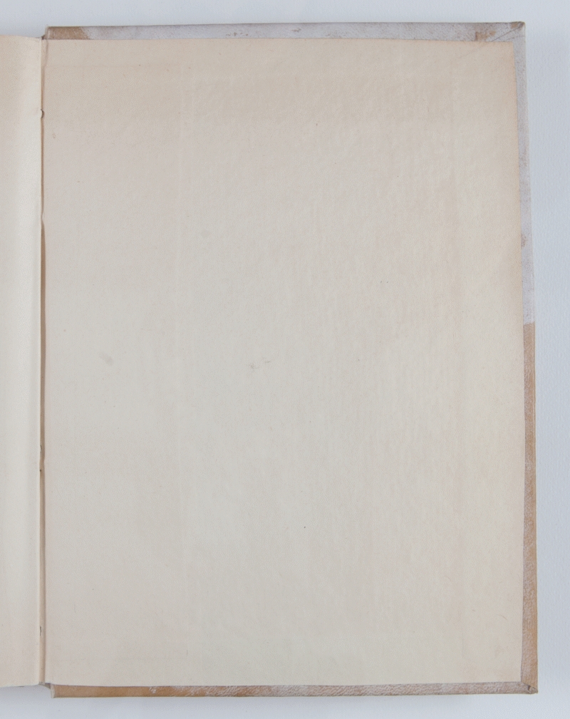 contropiatto_posteriore