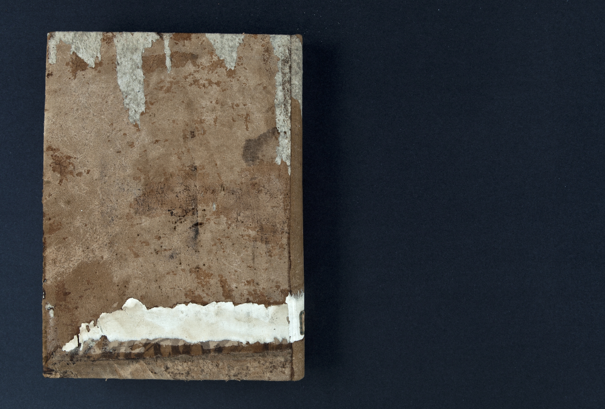 42_quarta di copertina