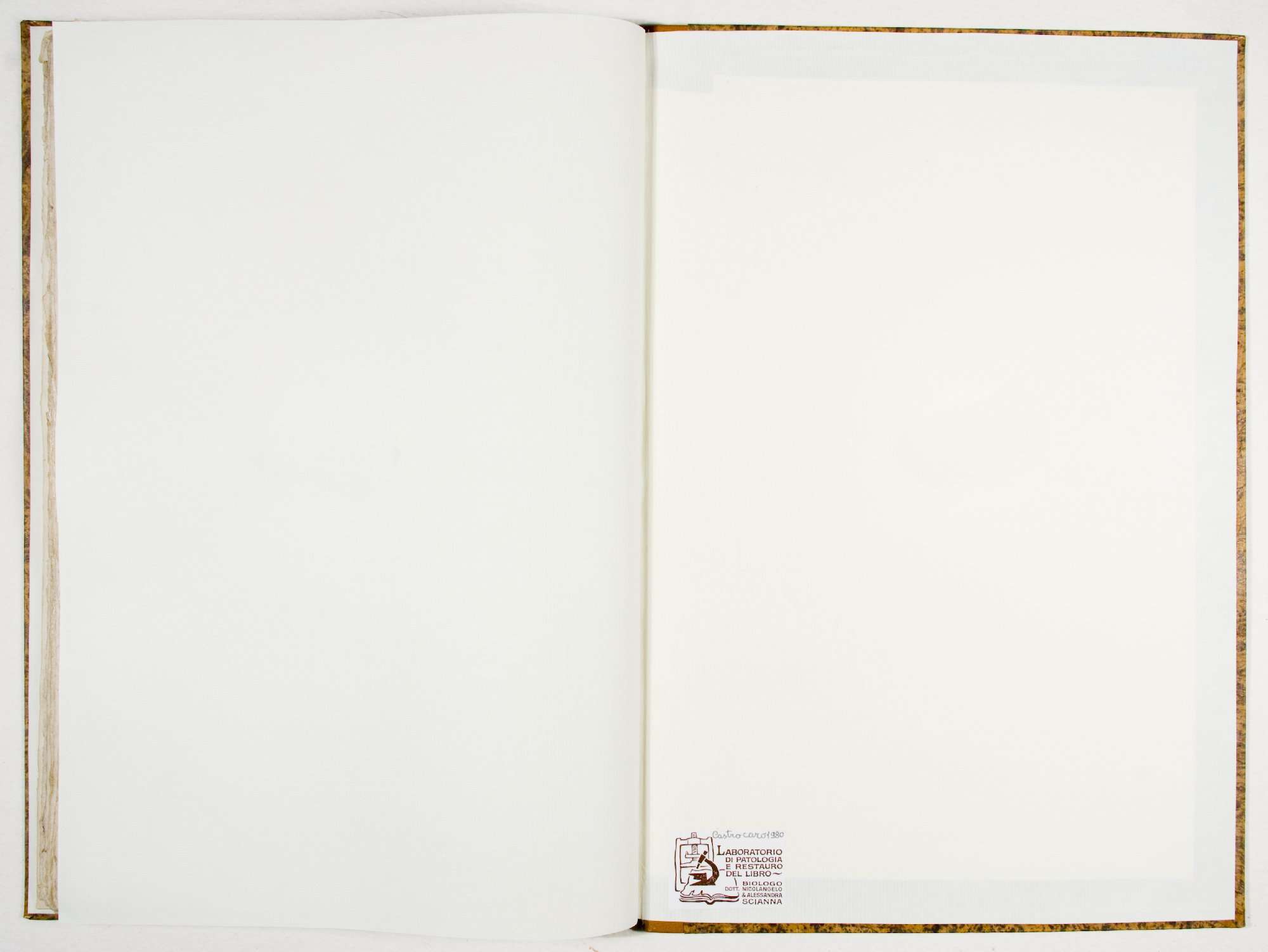 Pag. controguardia piatto posteriore